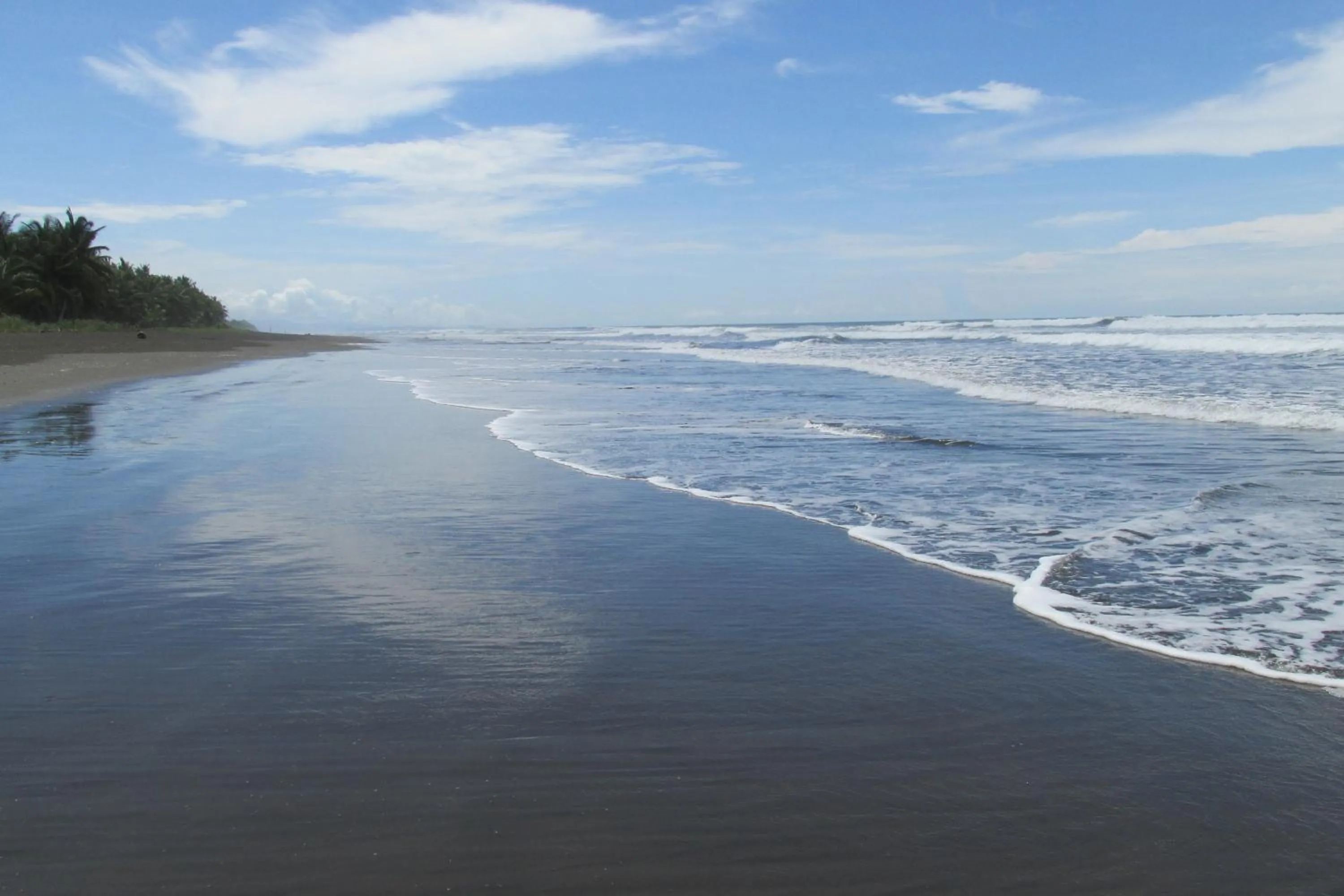 Area and facilities in Hotel Delfin Playa Bejuco