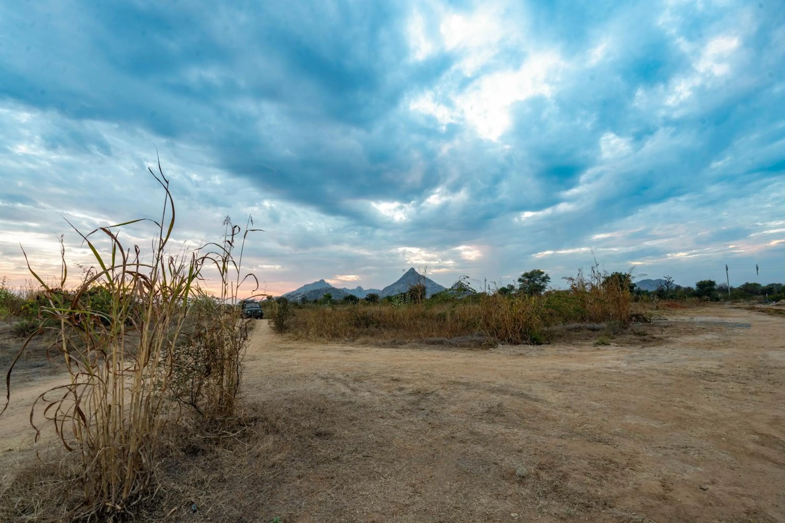View (from property/room) in KURJA Jawai