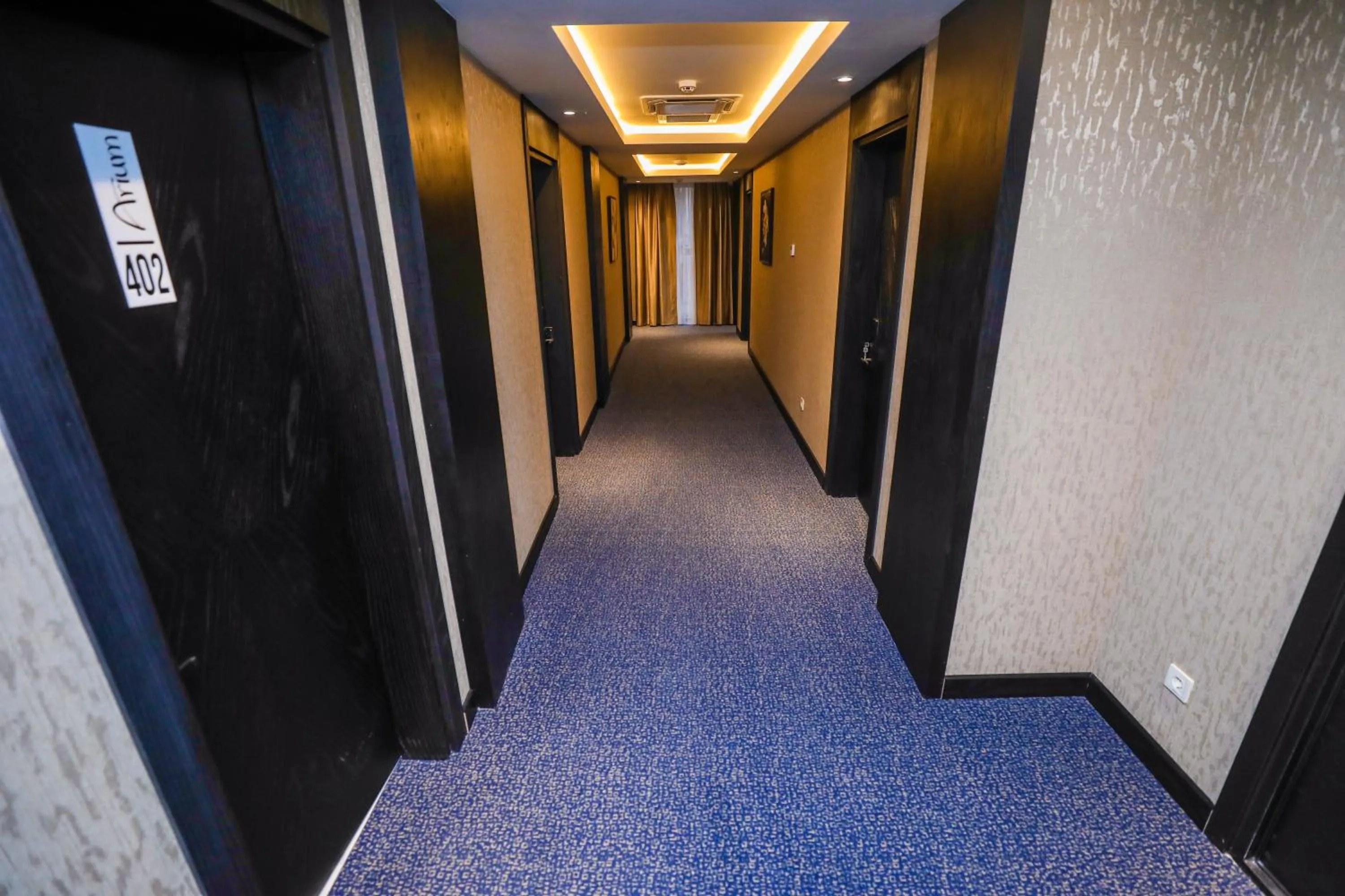 Area and facilities in Arium Hotel Baku