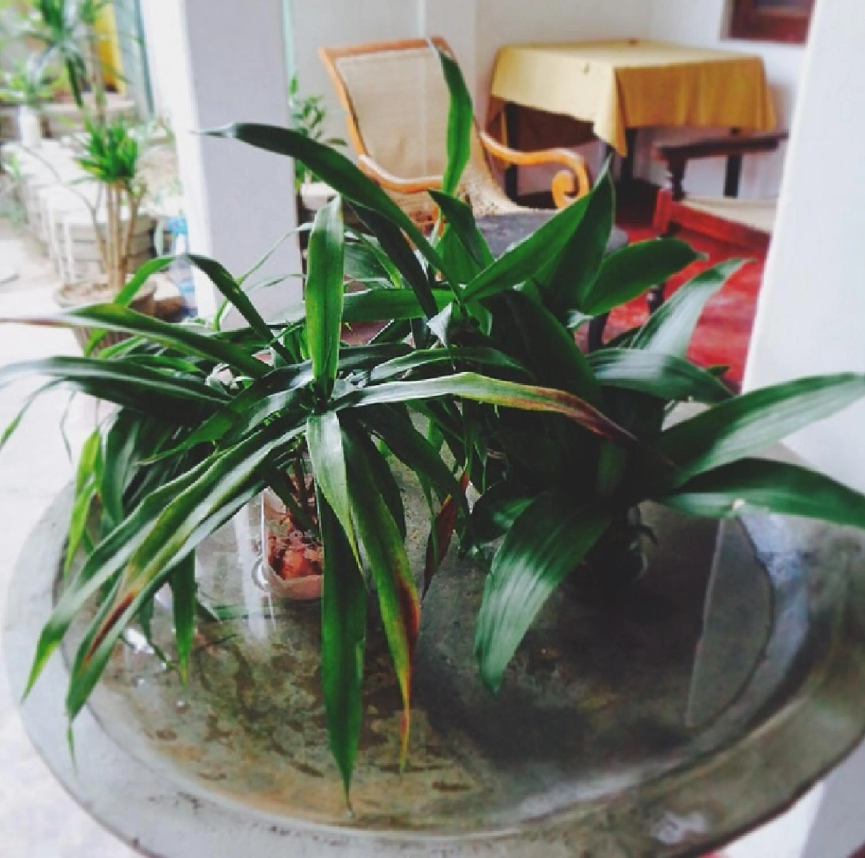 Natural landscape in Casalanka Hotel