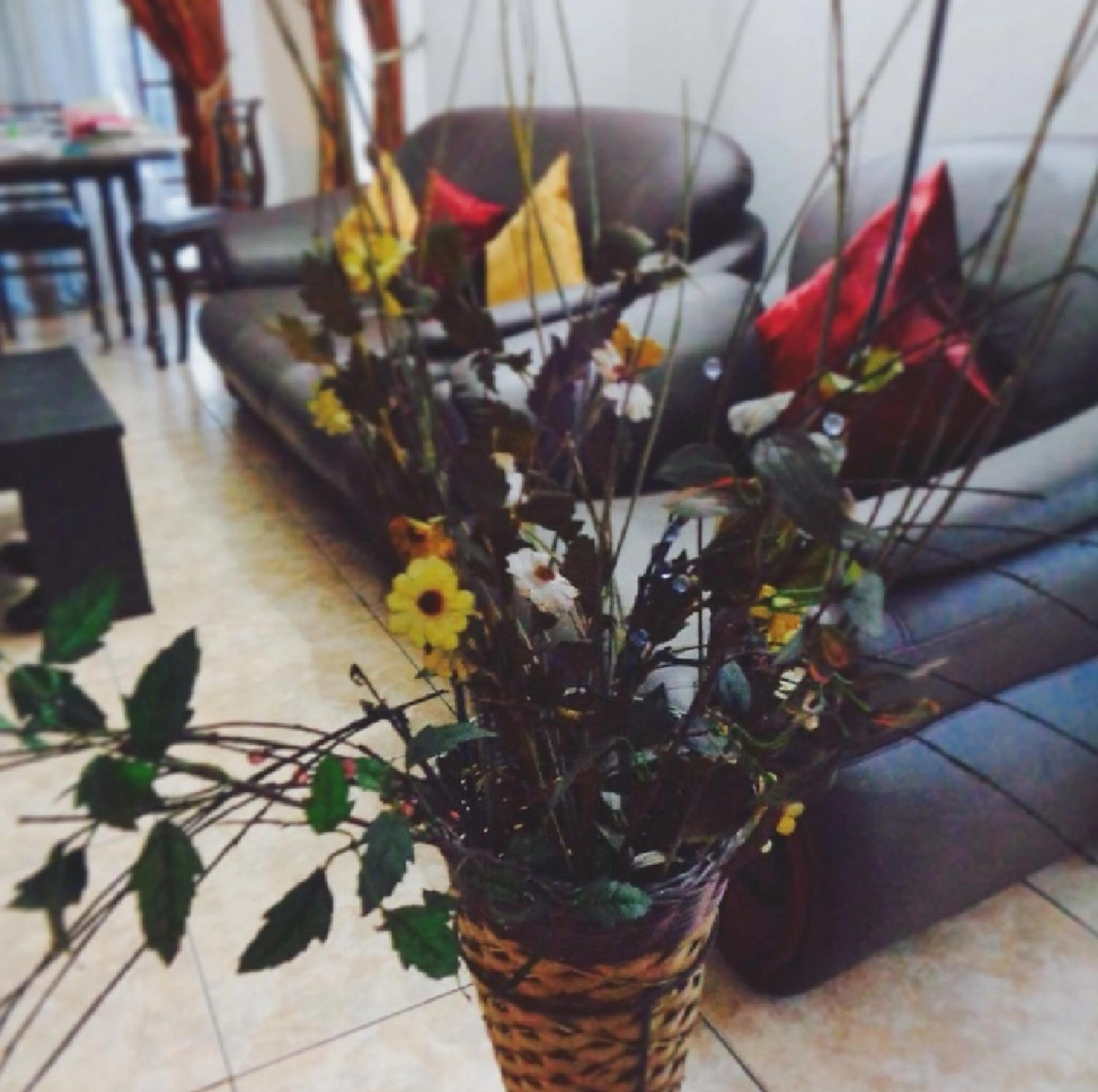 Natural landscape in Casalanka Hotel