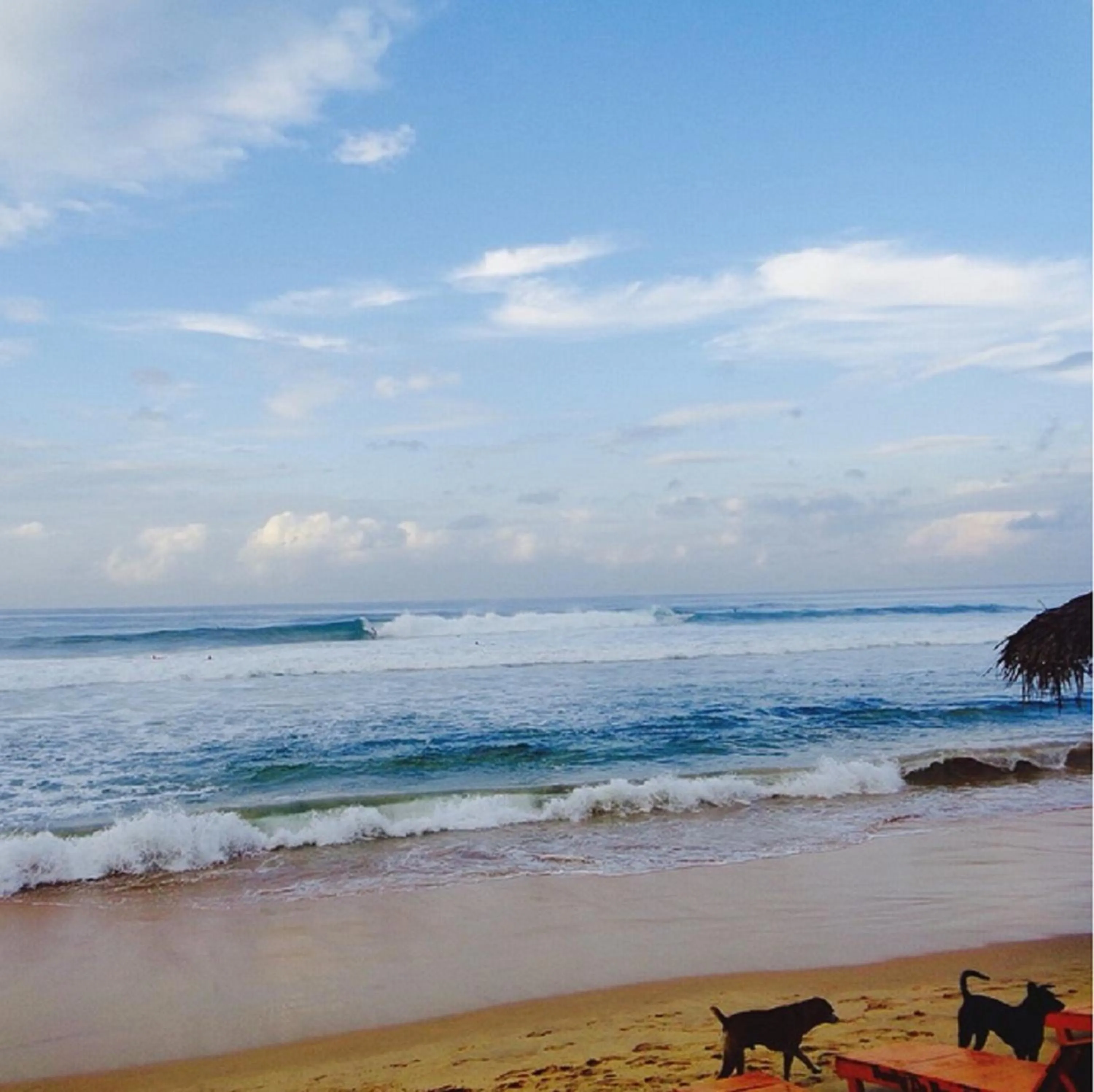 Beach in Casalanka Hotel