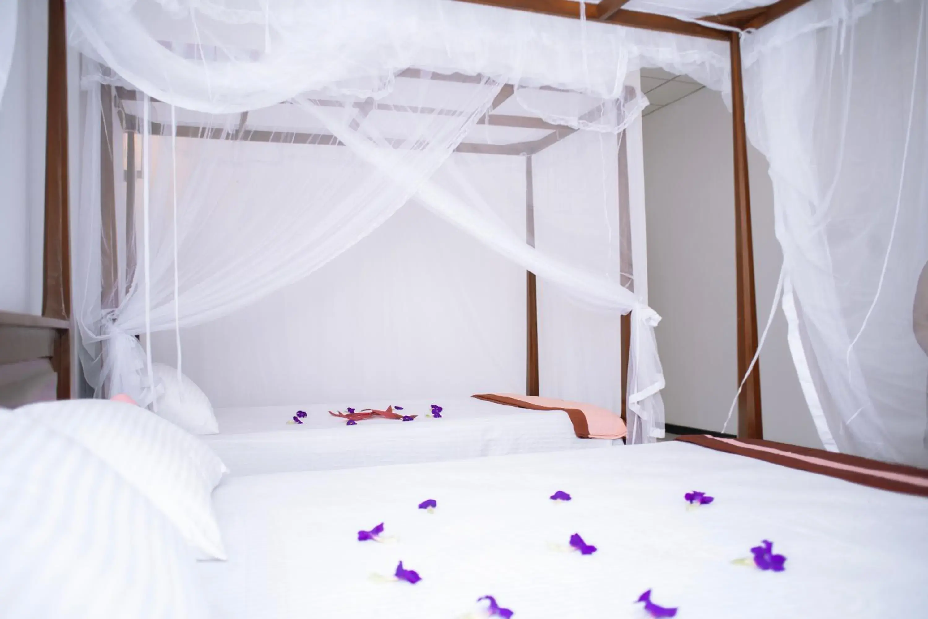 Deluxe Family Room - single occupancy in Shine Park Deluxe Family Room - single occupancy in Shine Park