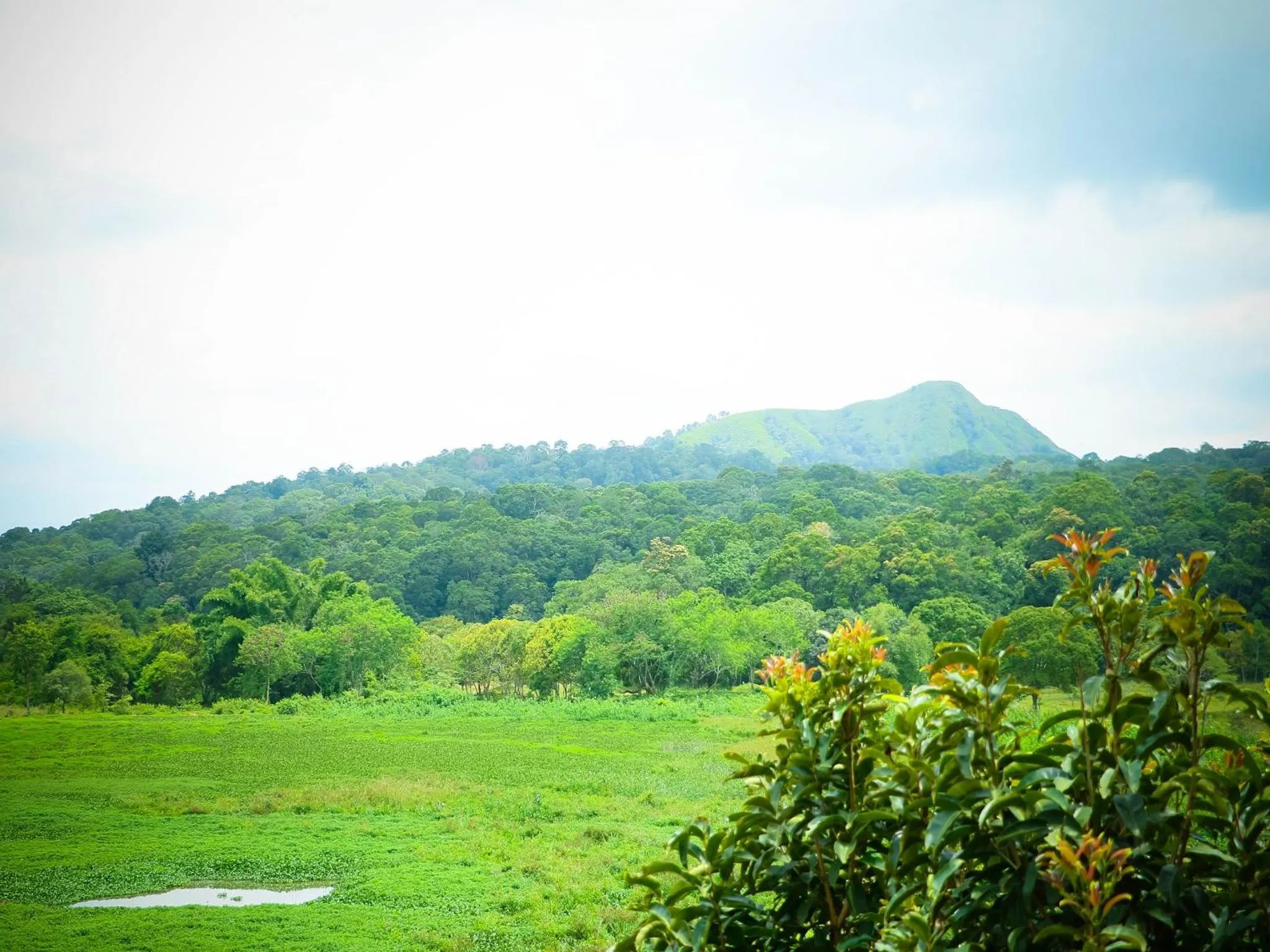 Mountain view in Kerala House