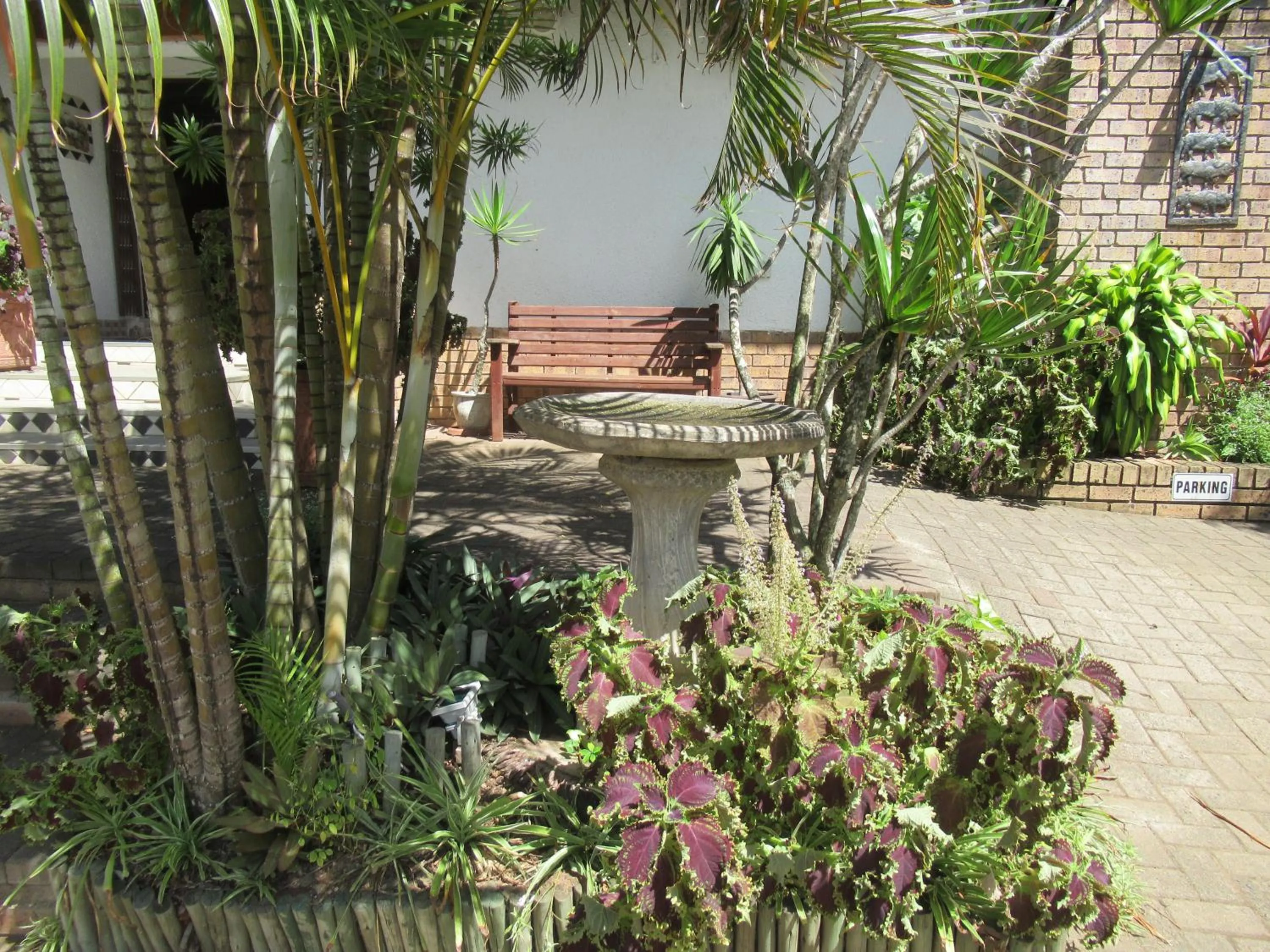 Garden in Bhangazi Lodge Bed & Breakfast