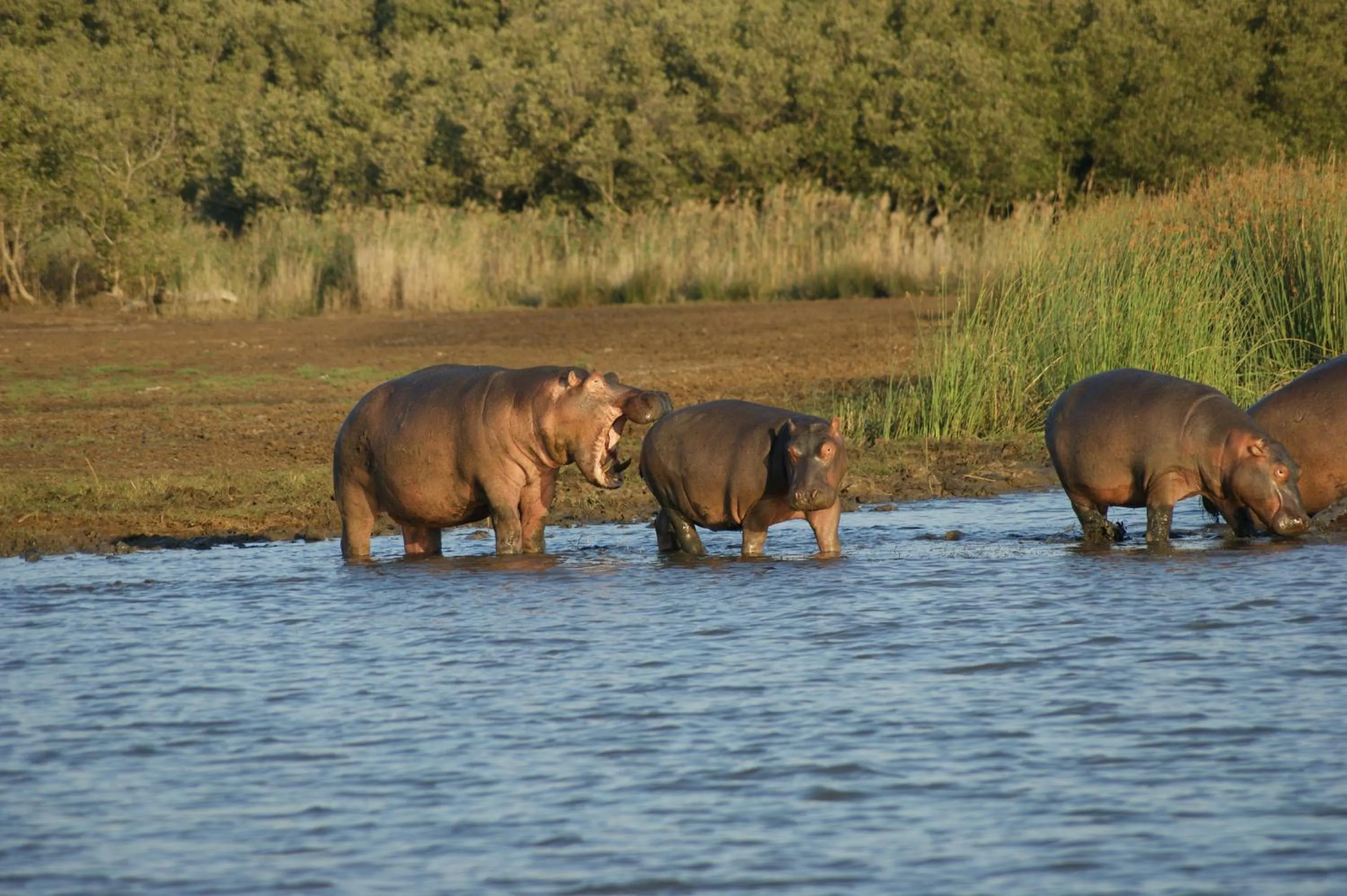Off site in Bhangazi Lodge Bed & Breakfast