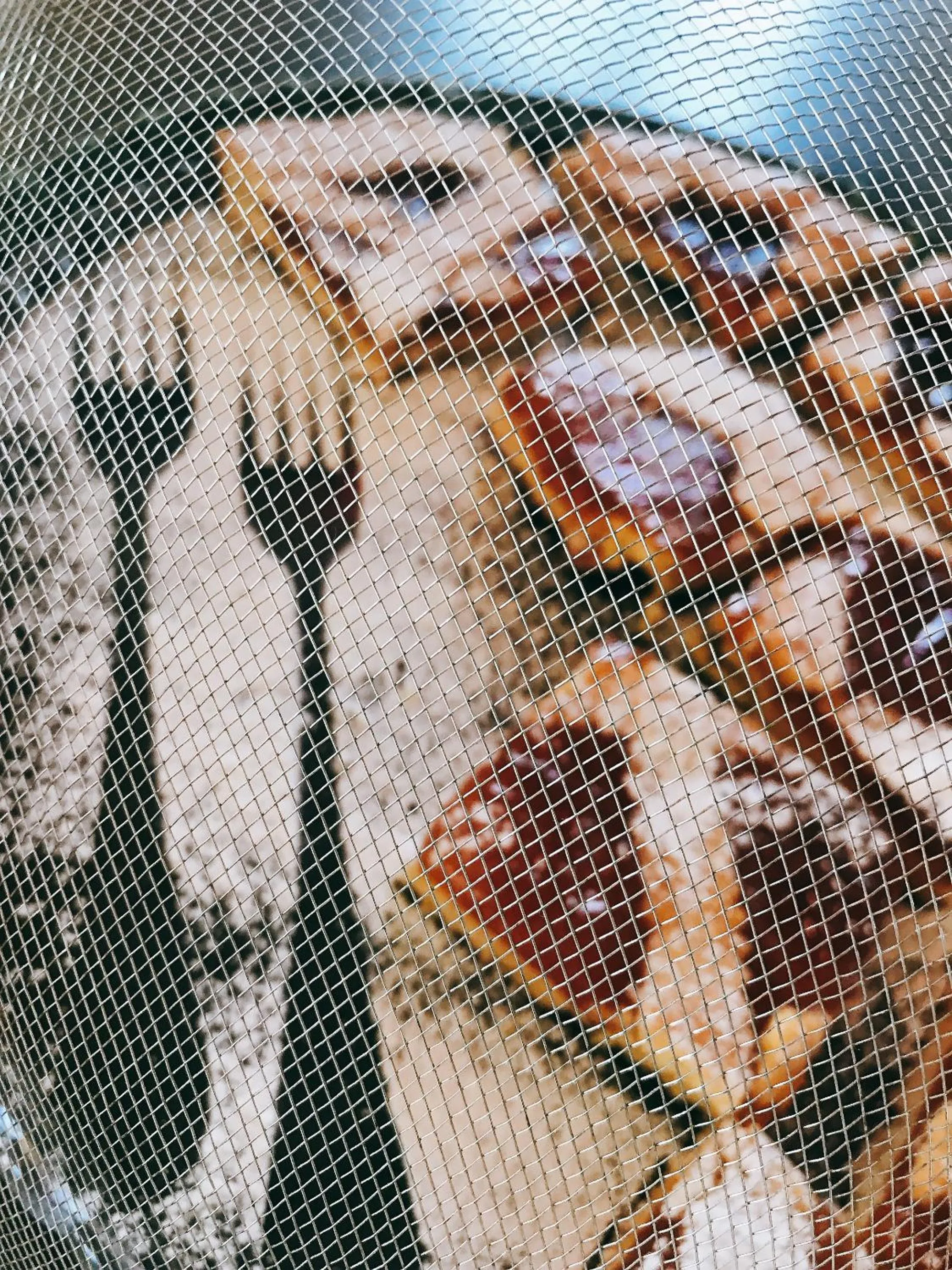 Food in La Locanda Paradiso