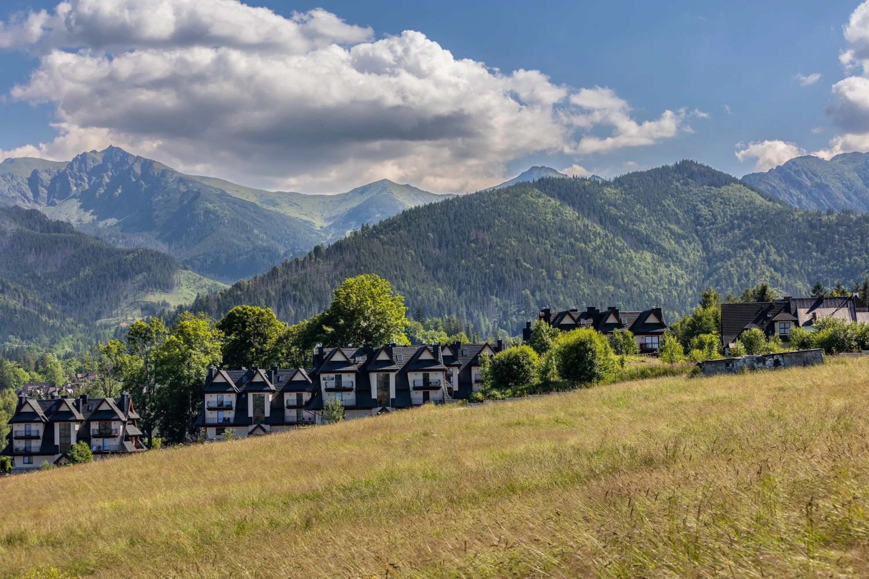 Mountain view in Salwatoriańska Apartments Mountain View Zakopane by Noclegi Renters