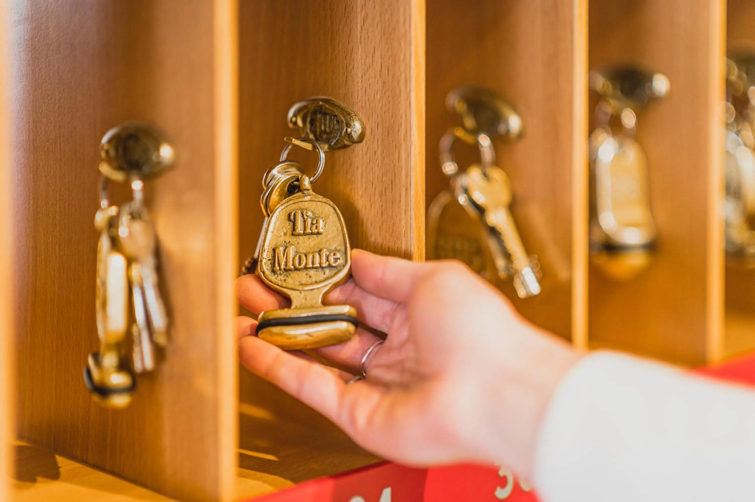 Lobby or reception in Hotel Tia Monte Nauders