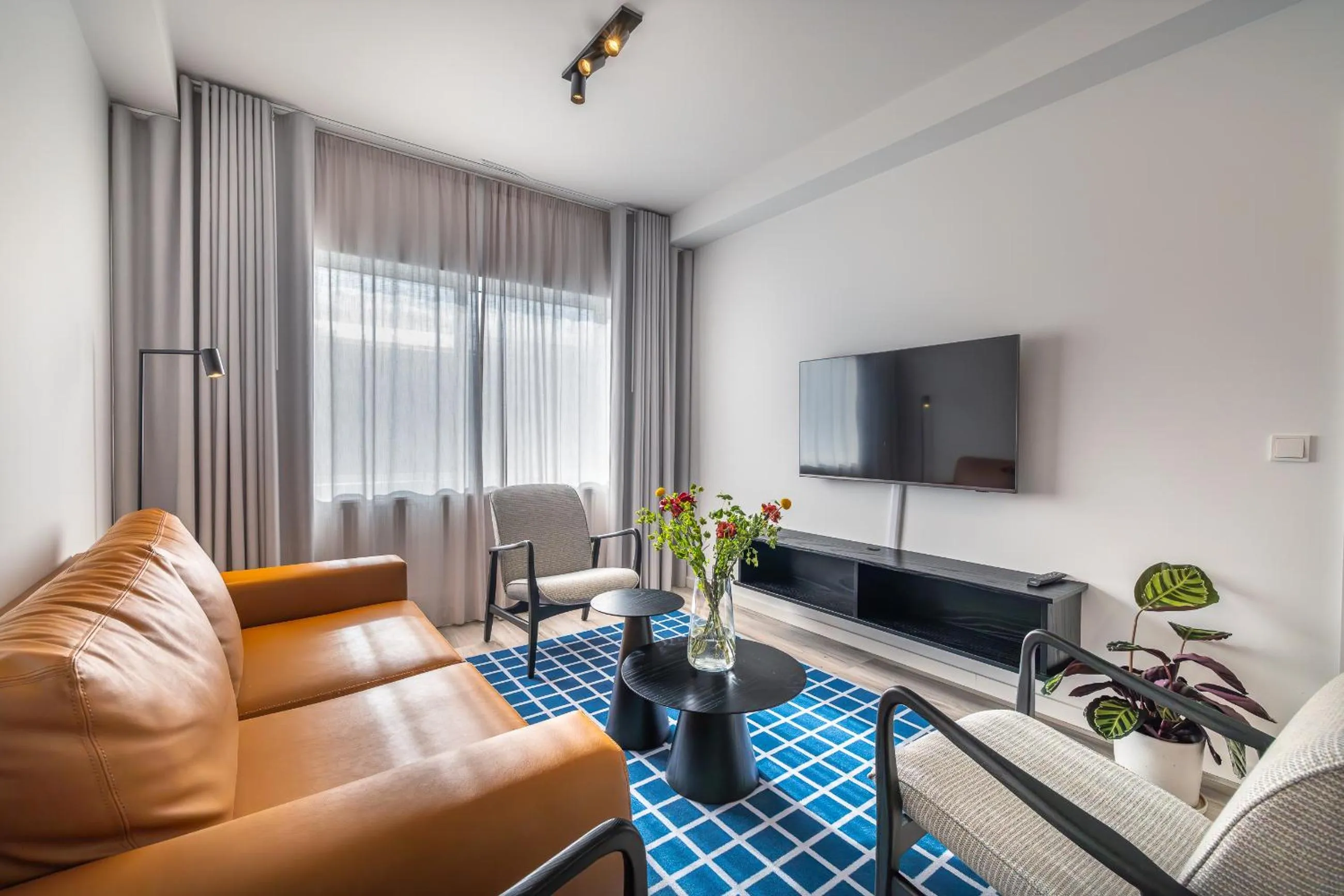 TV and multimedia in Hlemmur Suites