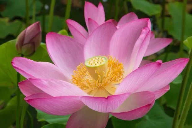 HOTEL Belfort Bessoncourt