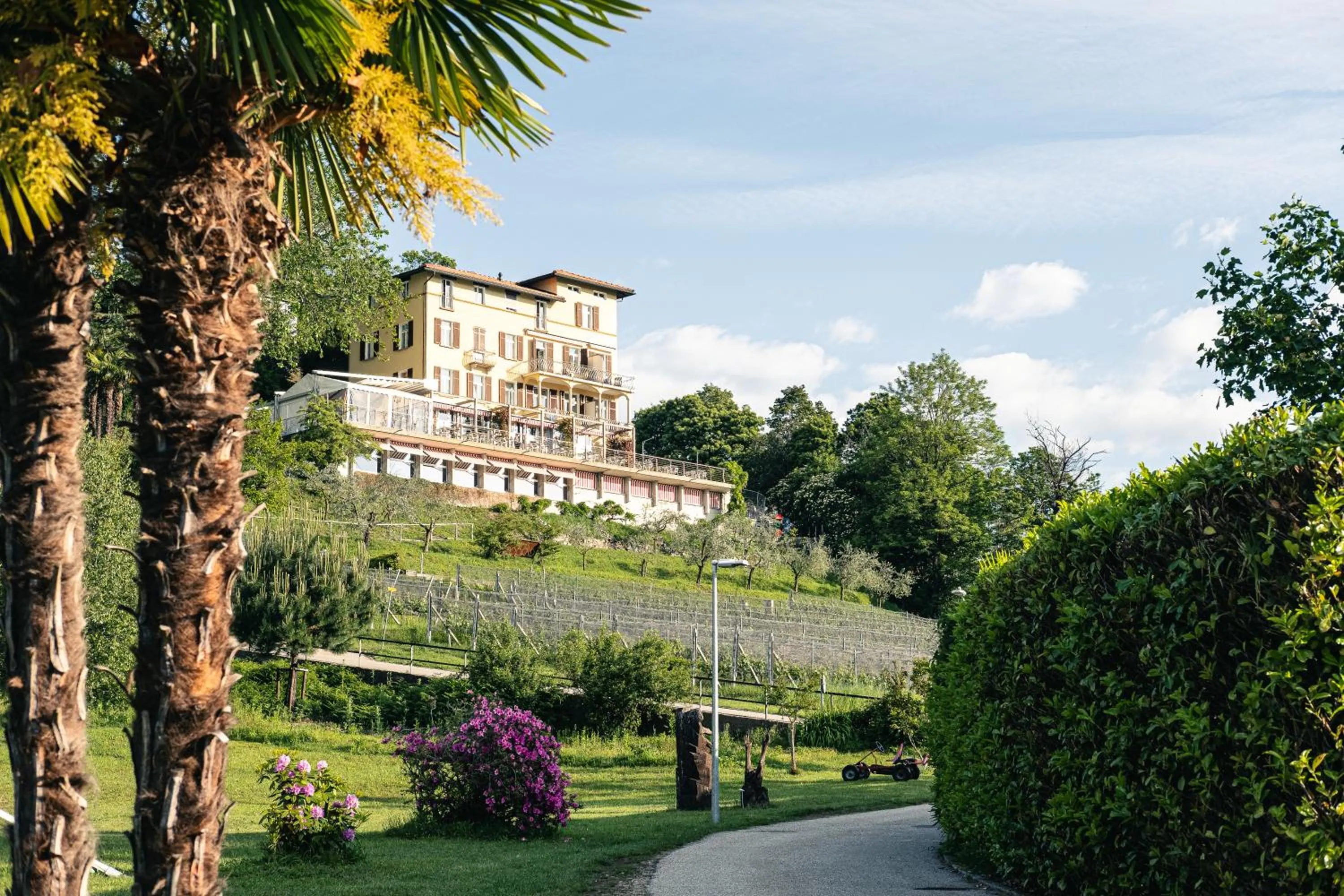 Property building in Paladina Hotel