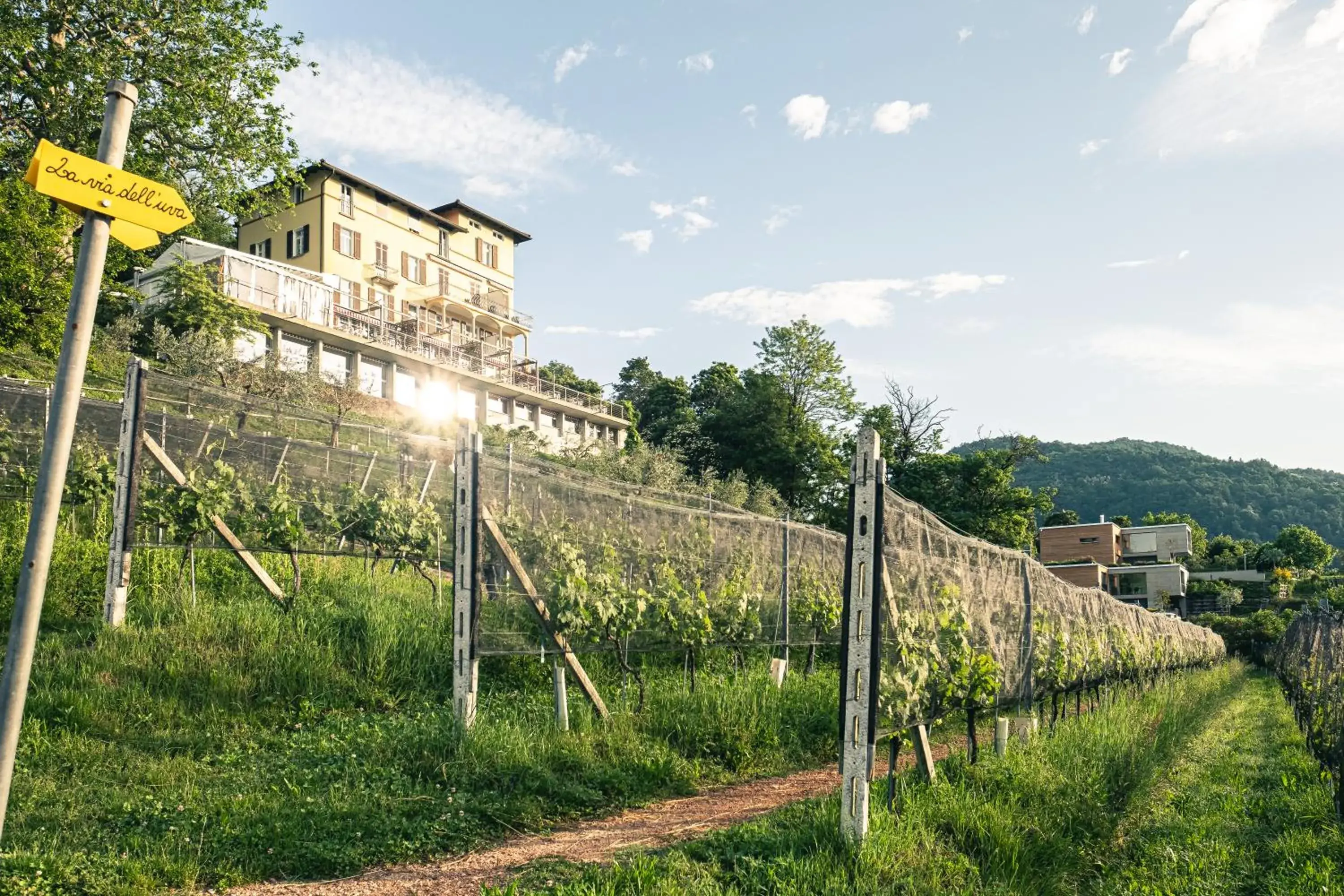 Double Room with Lake View - single occupancy in Paladina Hotel Double Room with Lake View - single occupancy in Paladina Hotel