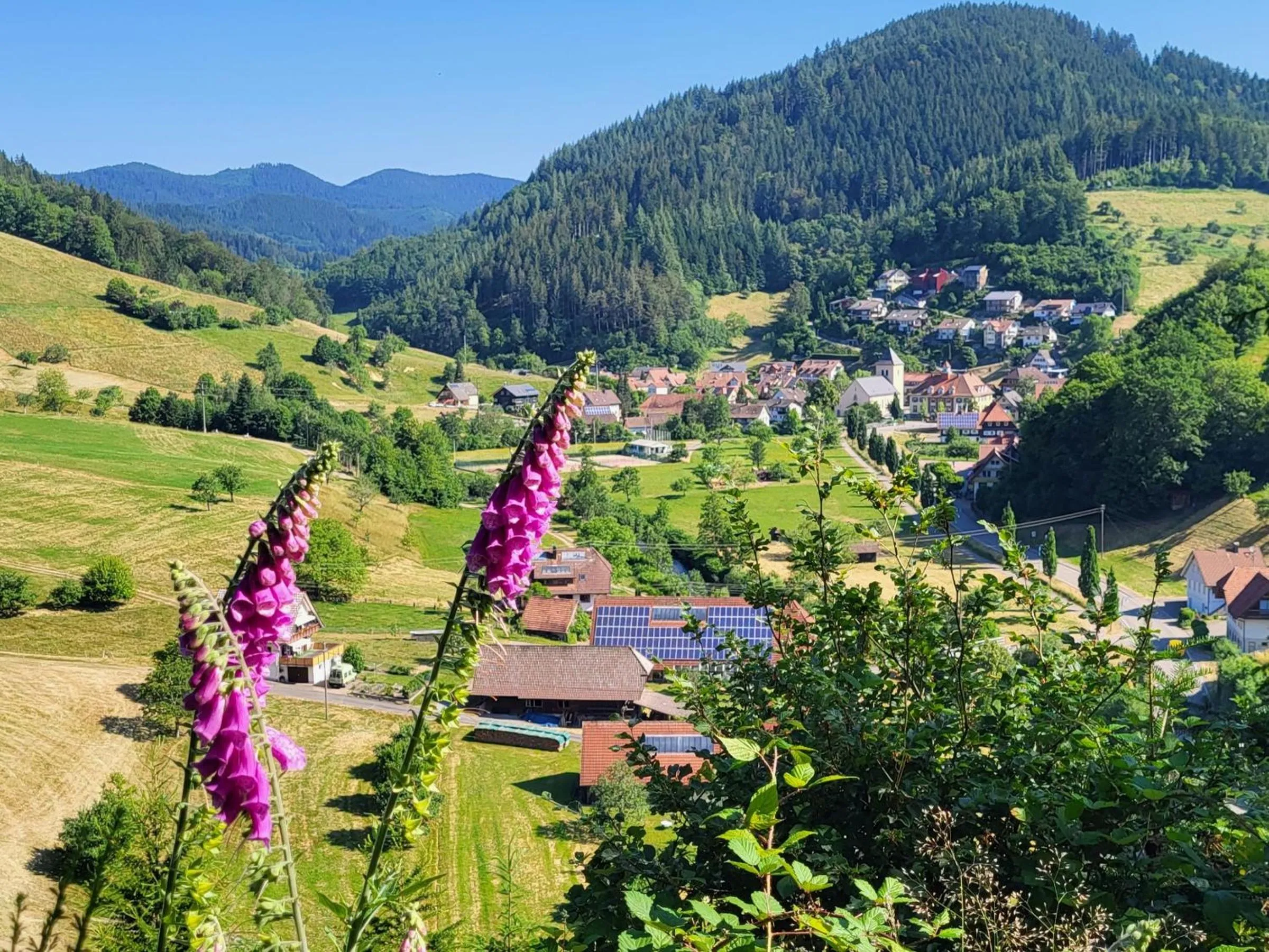 Hotel Walkenstein