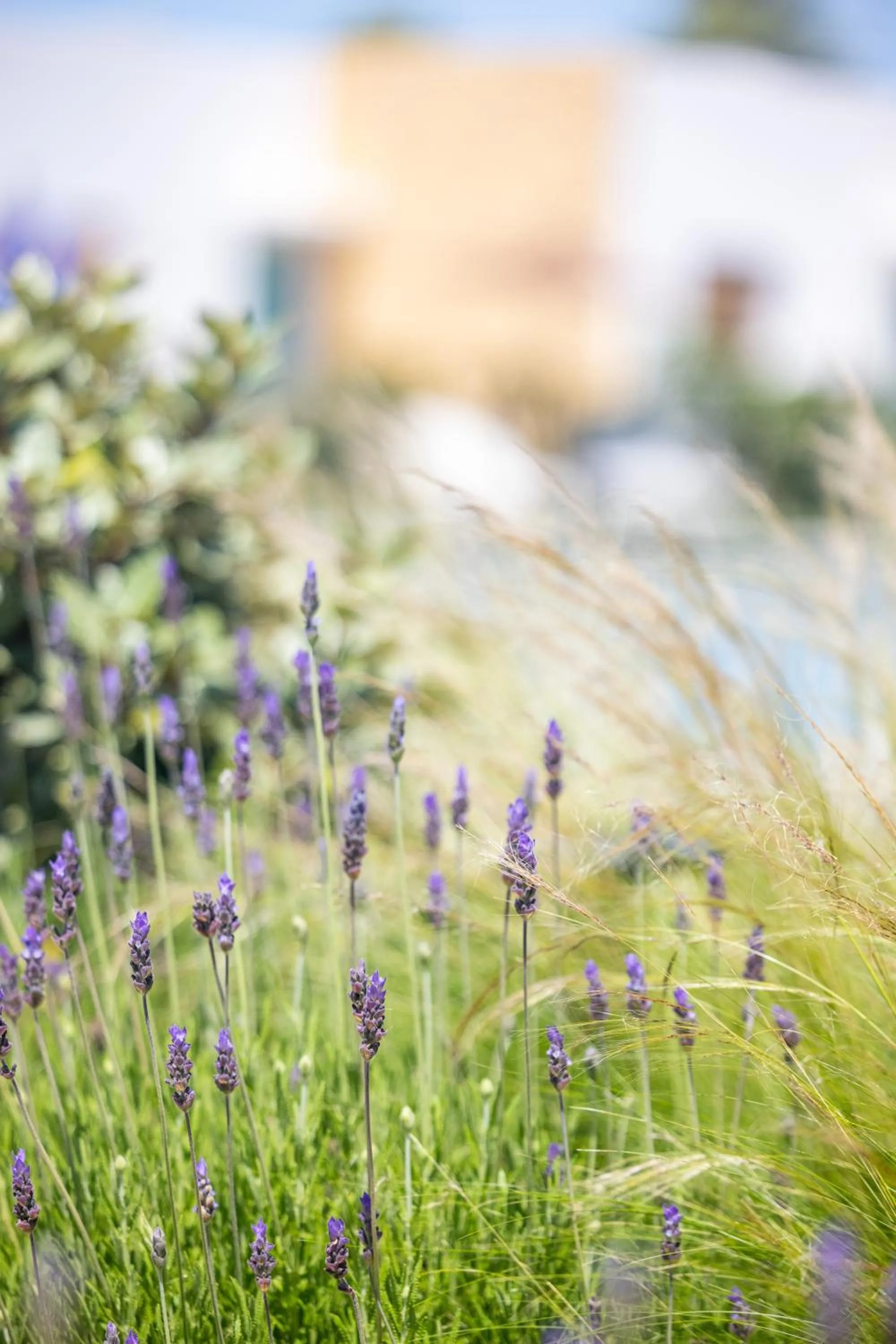 Natural landscape in Hotel Boutique Mi Almazara