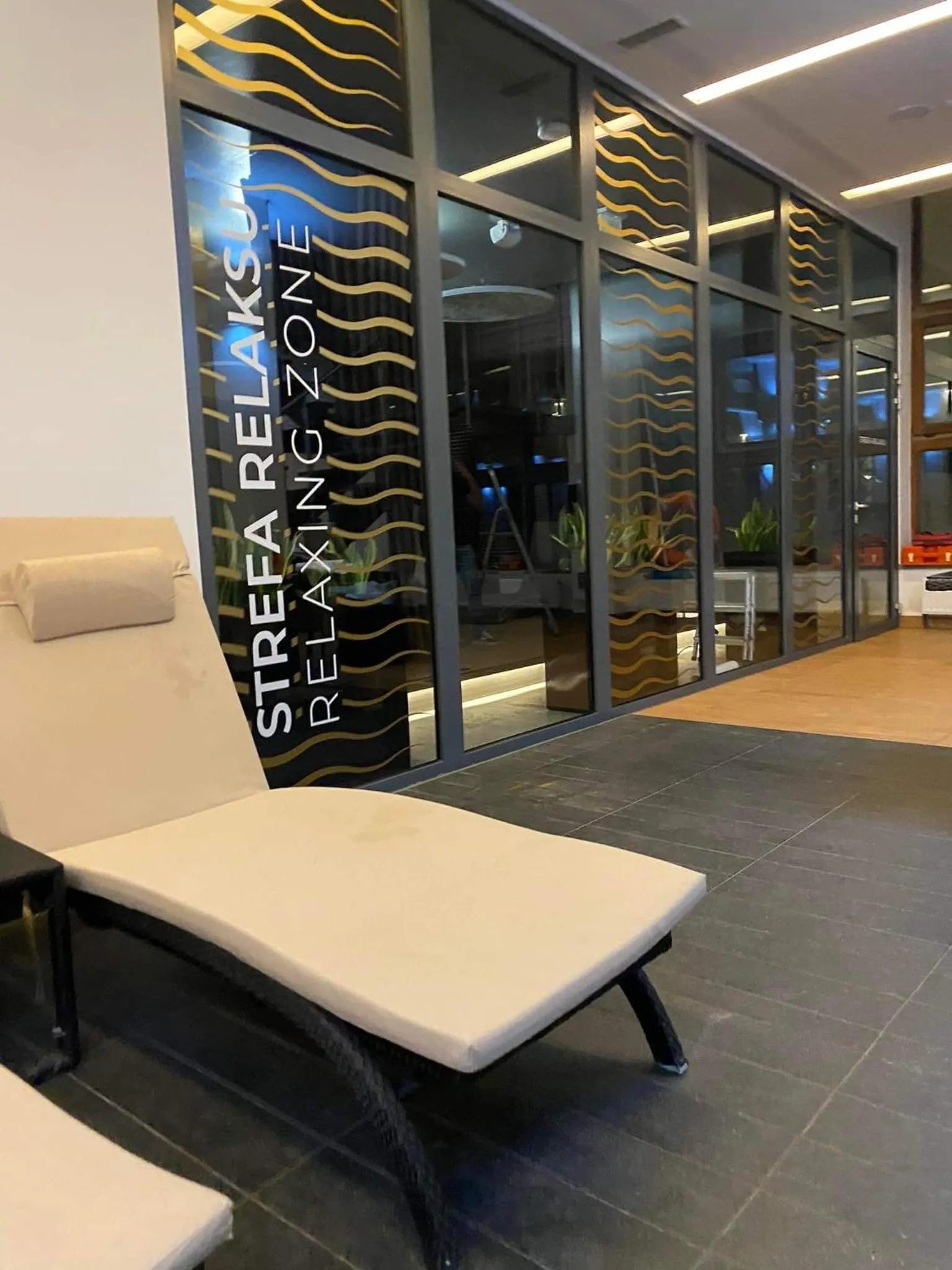 Swimming pool in Rezydencja Nosalowy Dwór