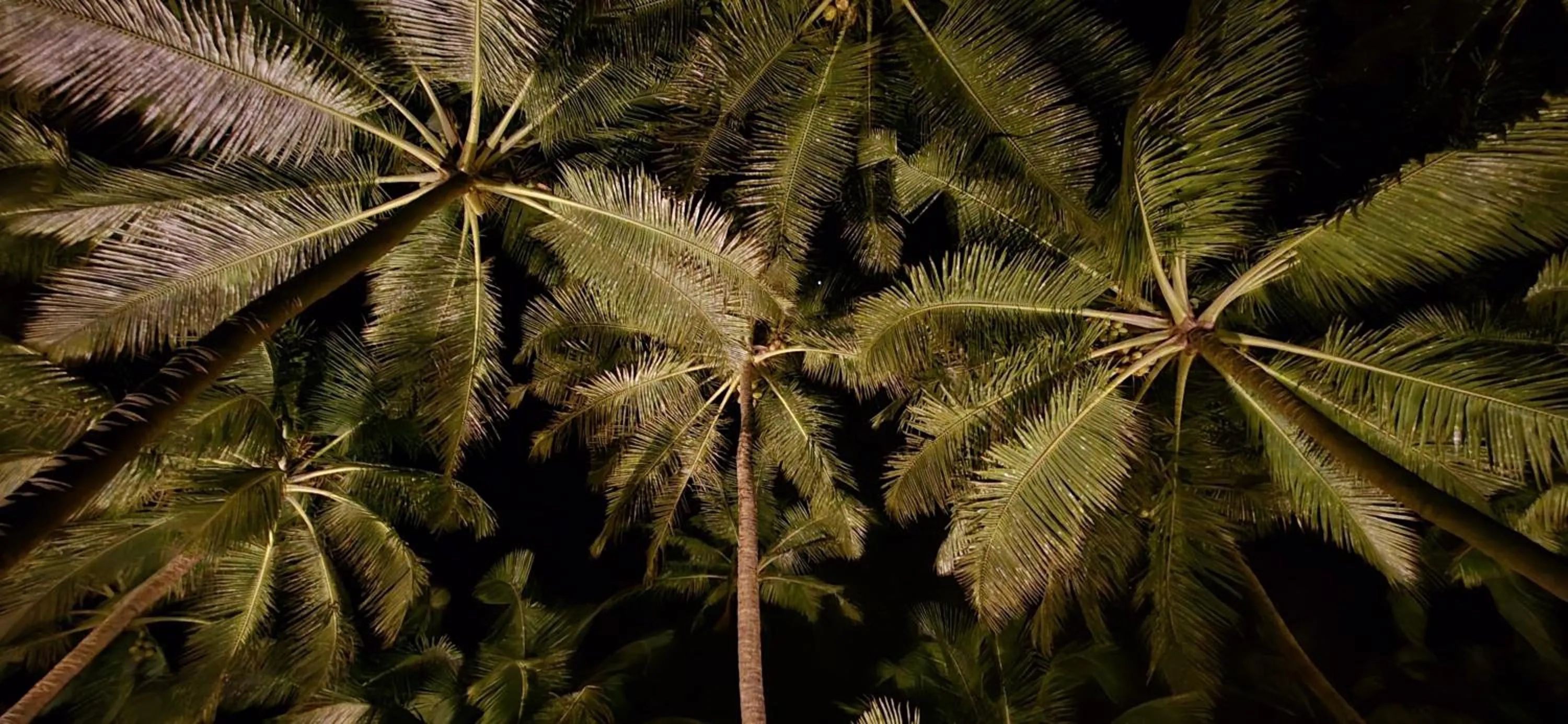 Natural landscape in Kurma A Private Beach