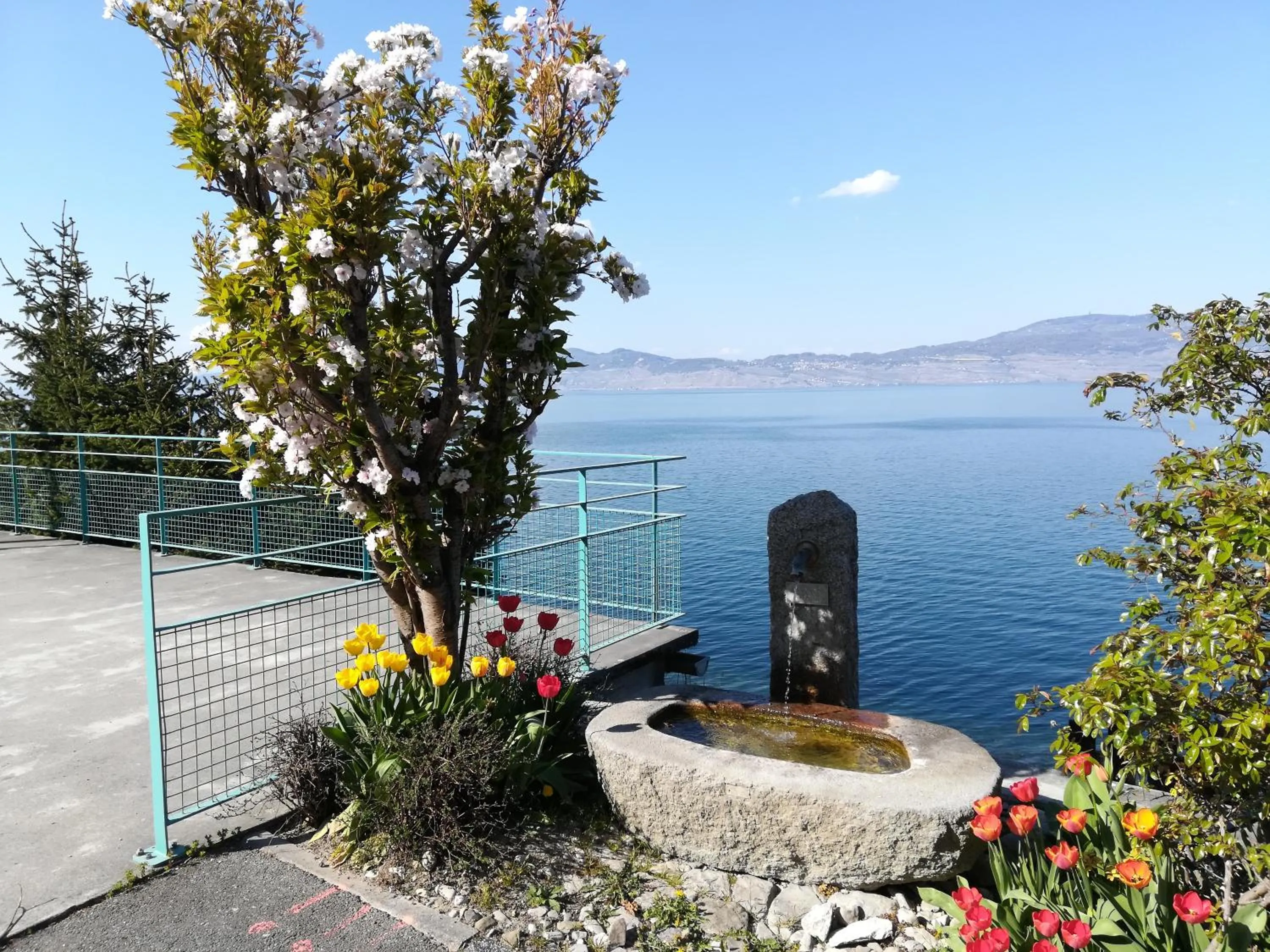 Spring in Hotel Le Léman