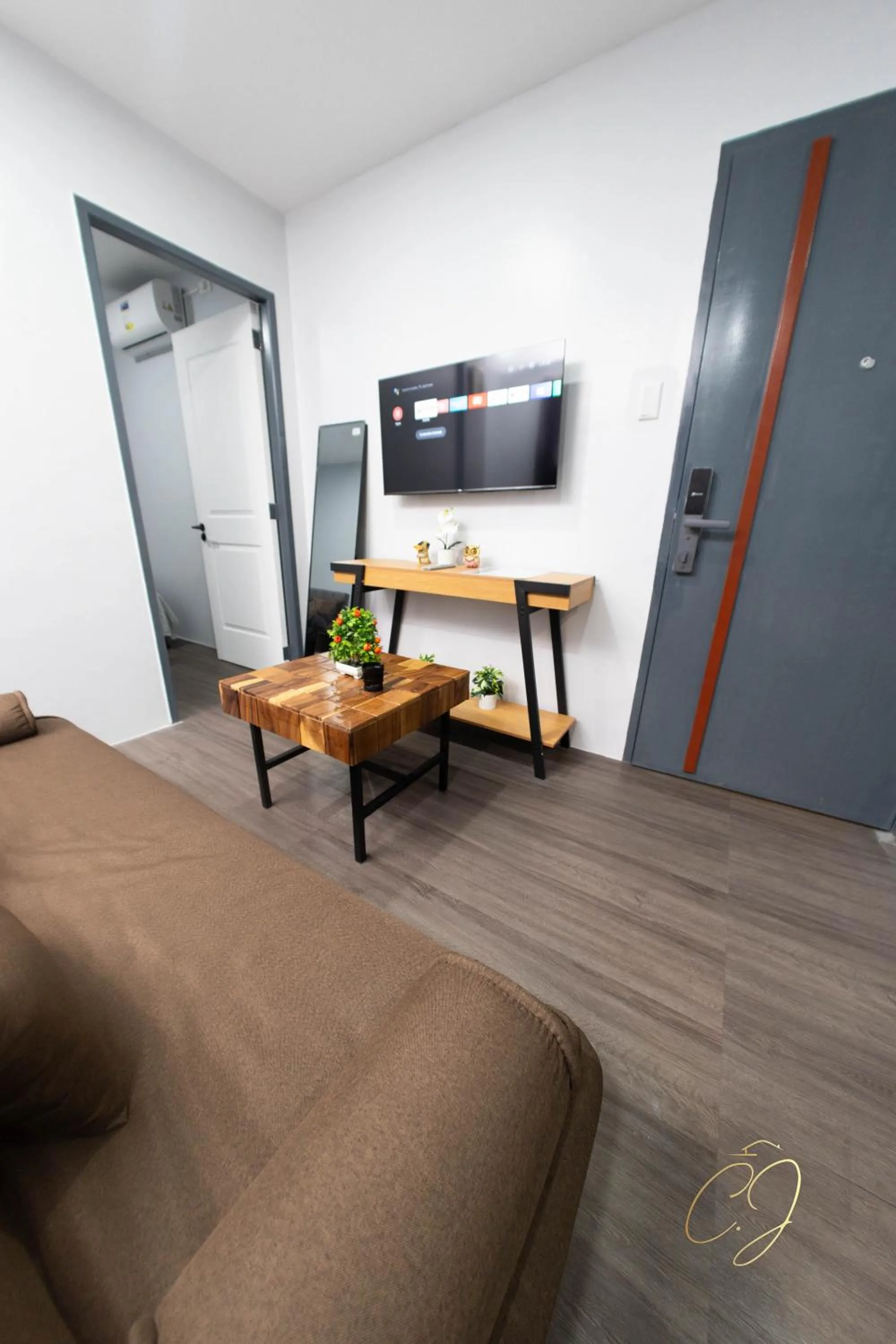 TV and multimedia in CJ Apartments