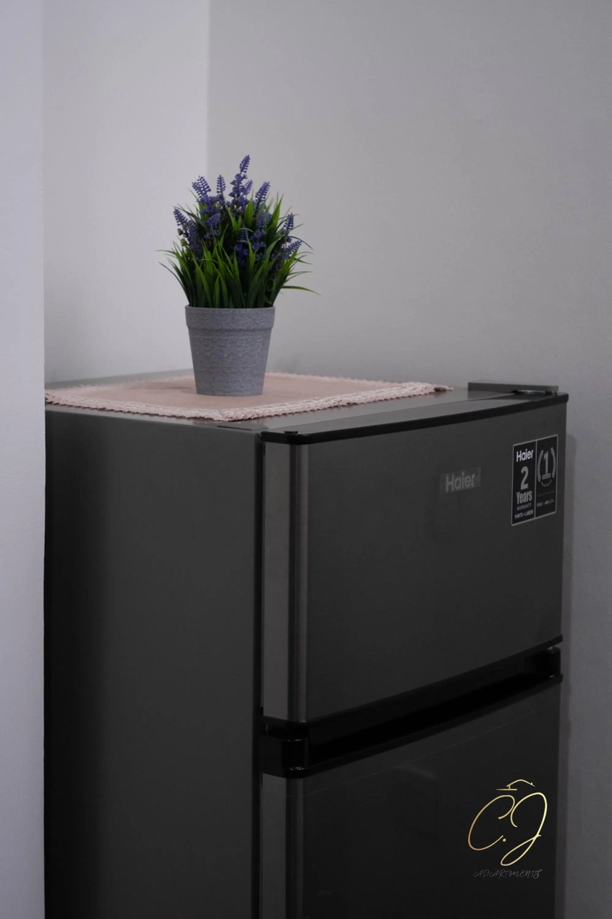 Kitchen or kitchenette in CJ Apartments