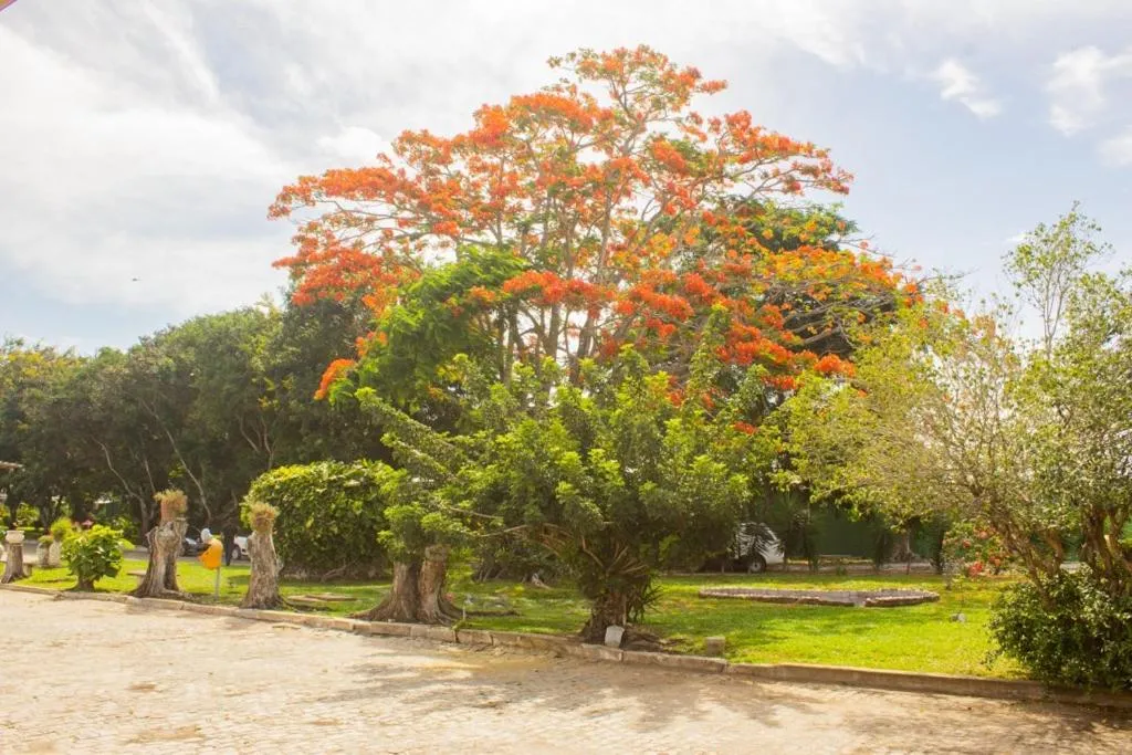Hotel Parque do Sol