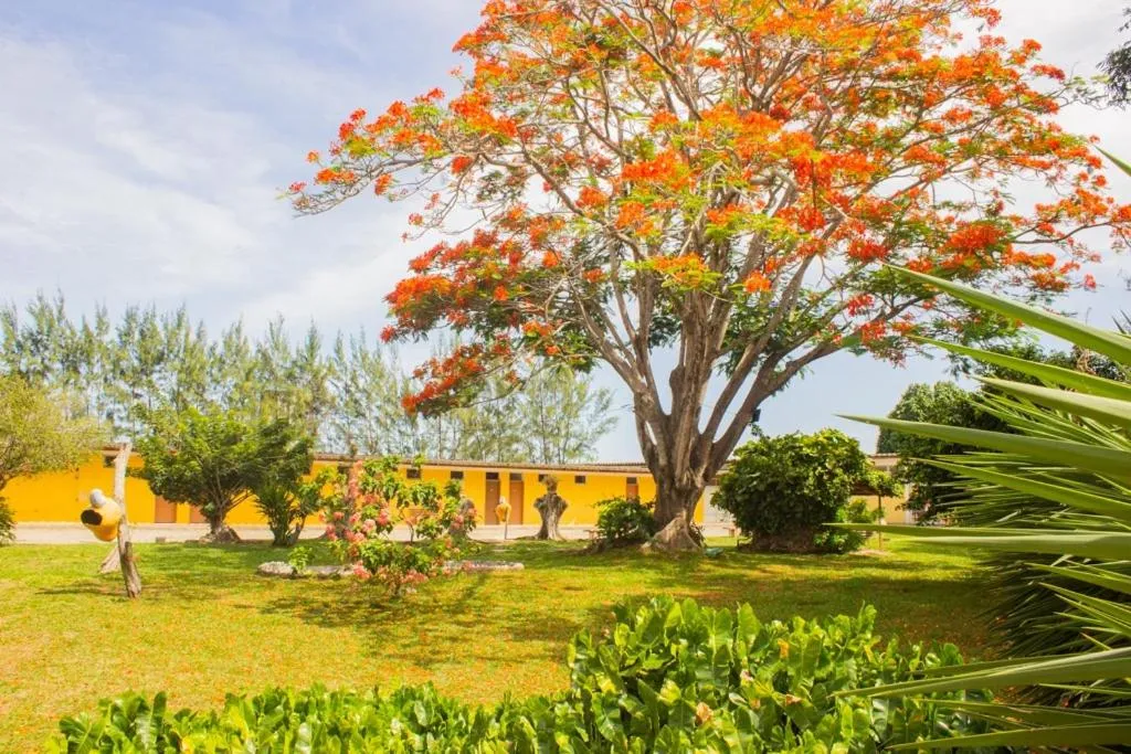 Hotel Parque do Sol
