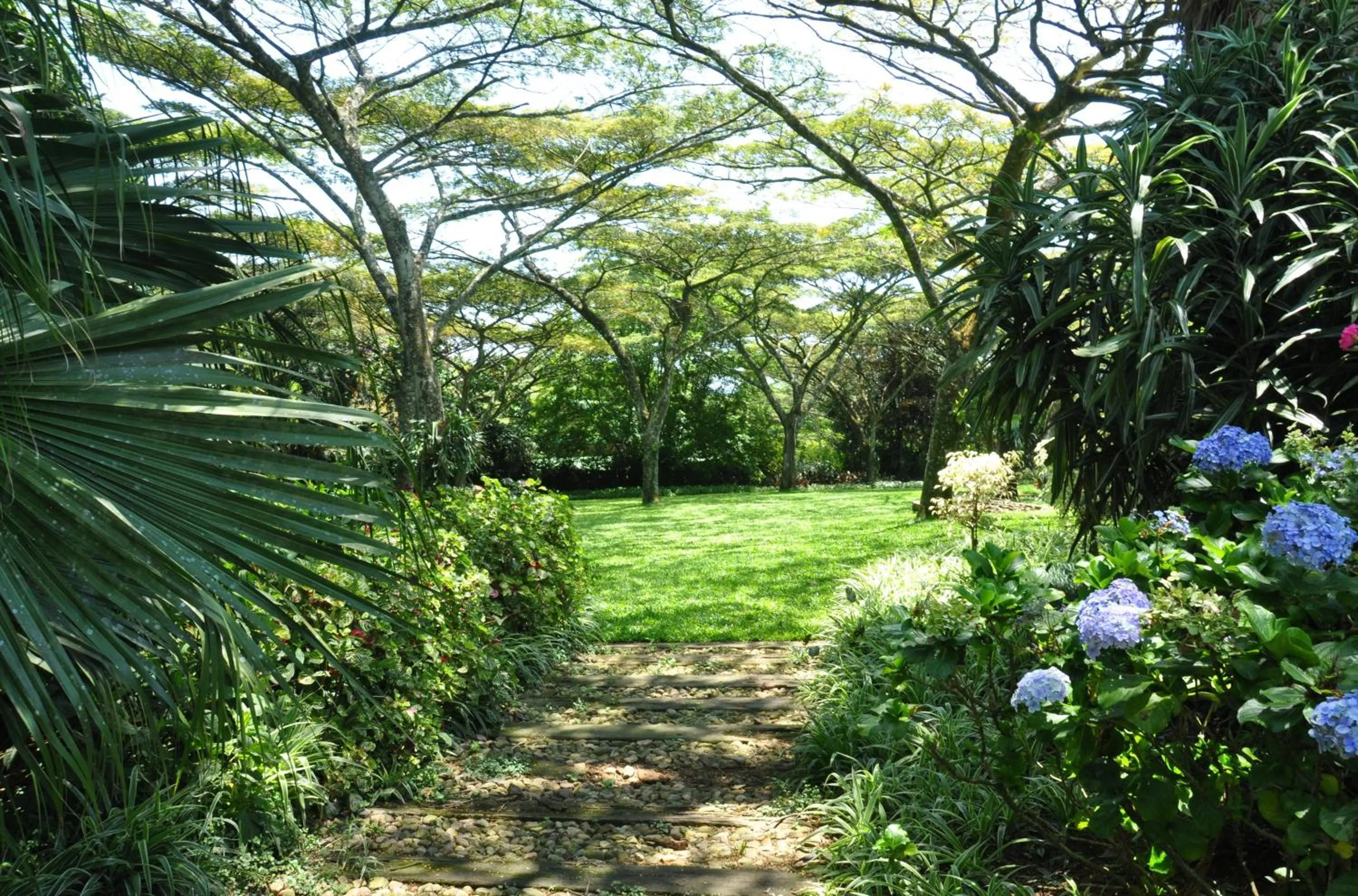 Garden in Birds of Paradise B&B