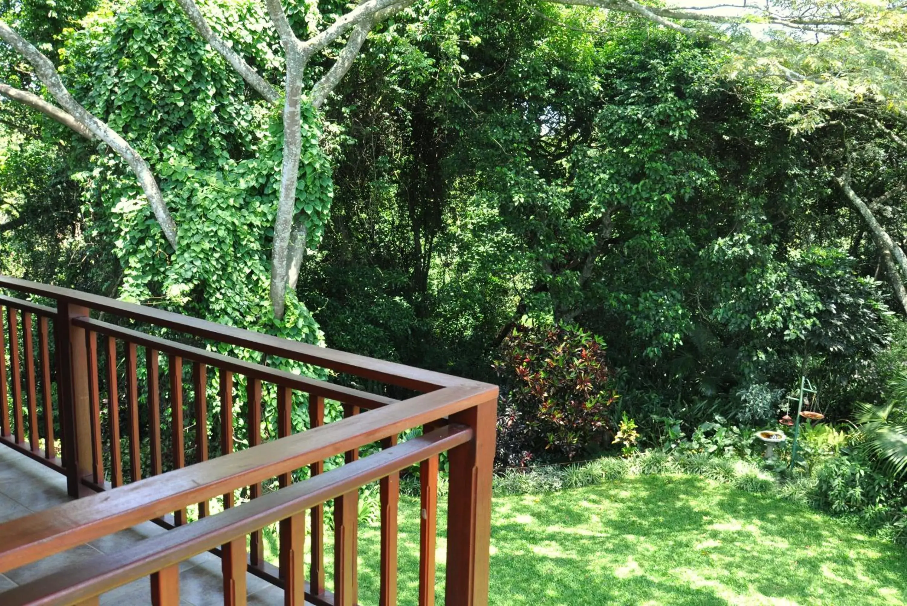 Deluxe Double or Single Room - single occupancy in Birds of Paradise B&B Deluxe Double or Single Room - single occupancy in Birds of Paradise B&B