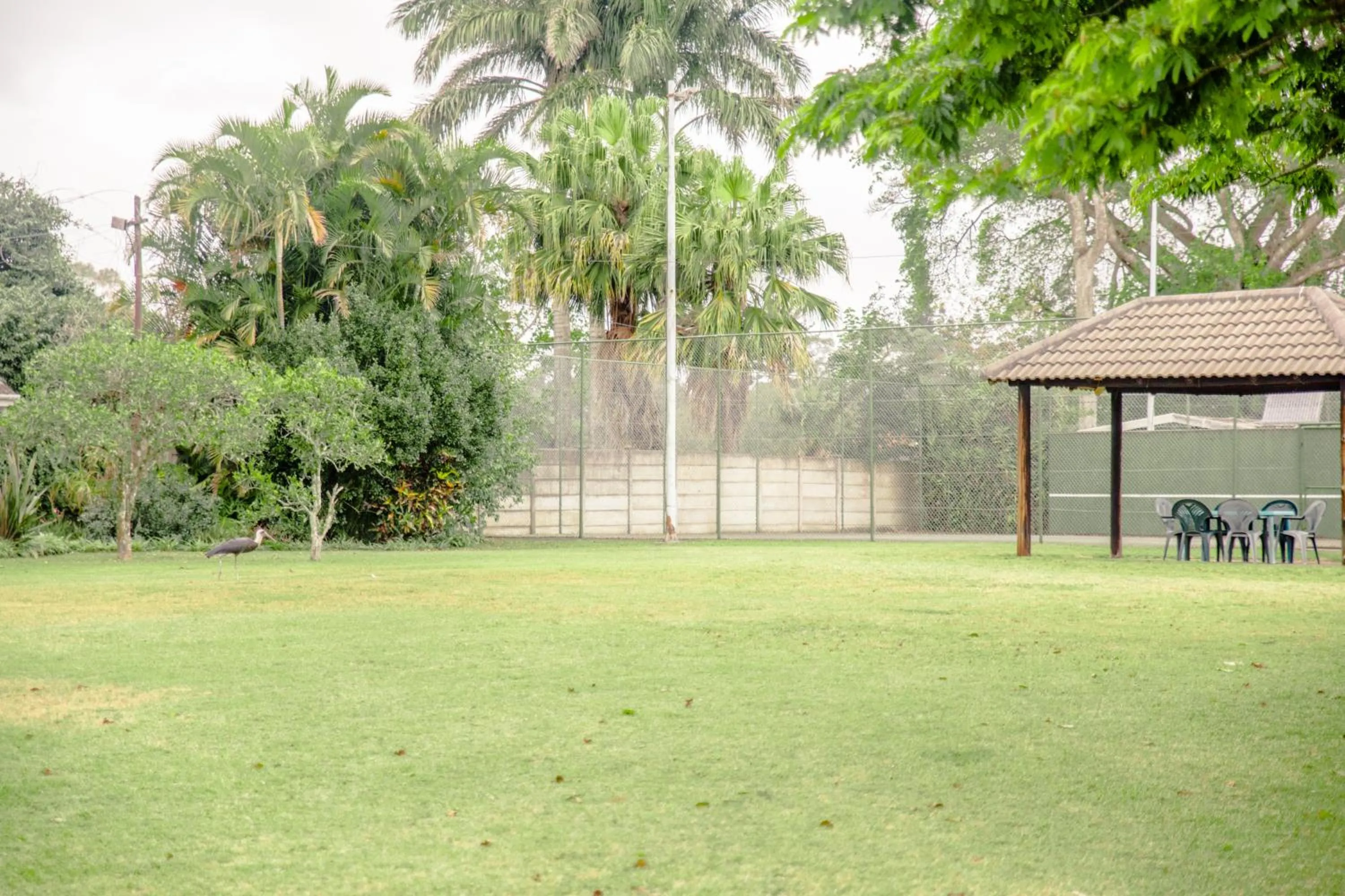 Birds of Paradise B&B