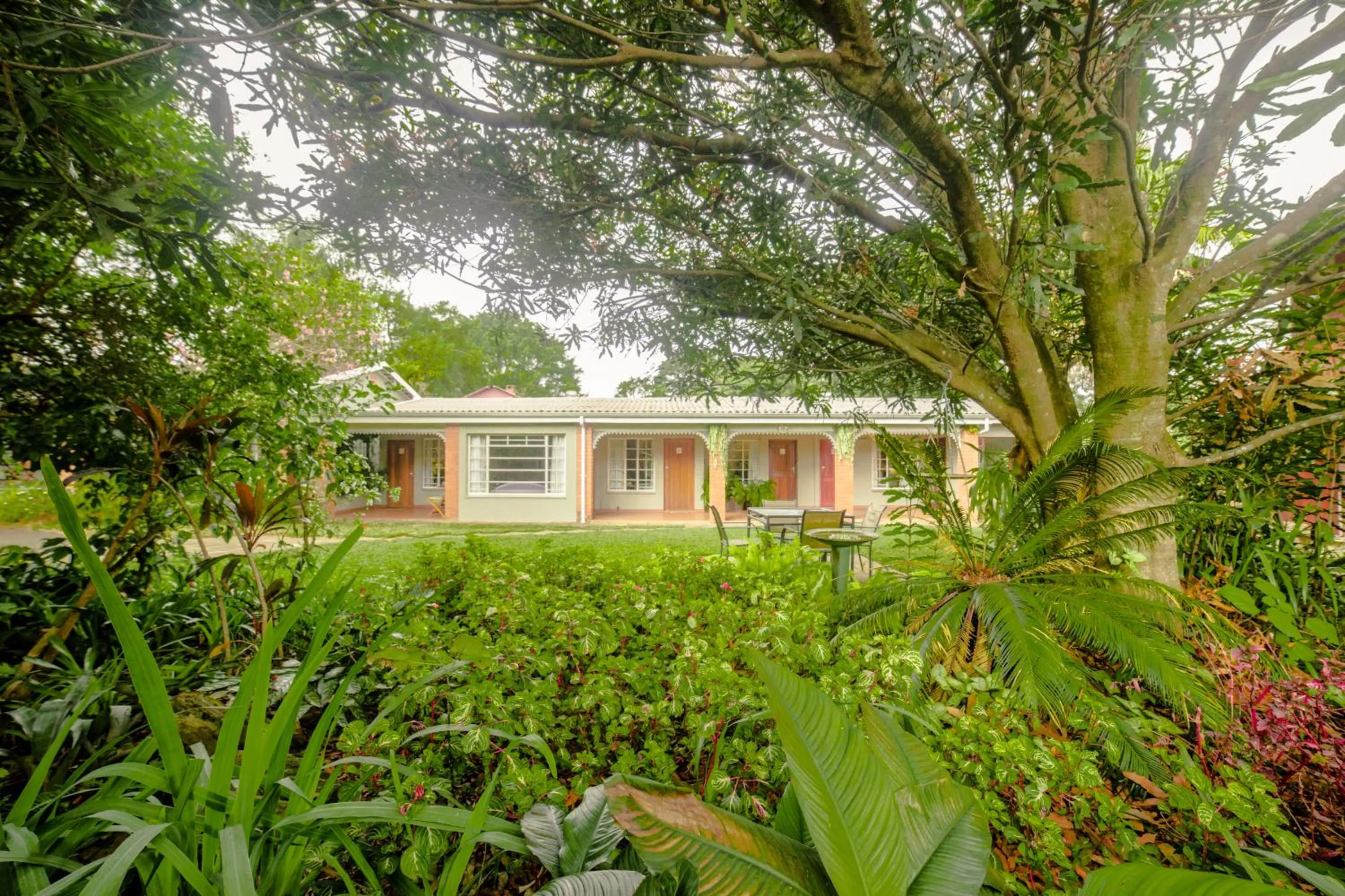 Garden in Birds of Paradise B&B