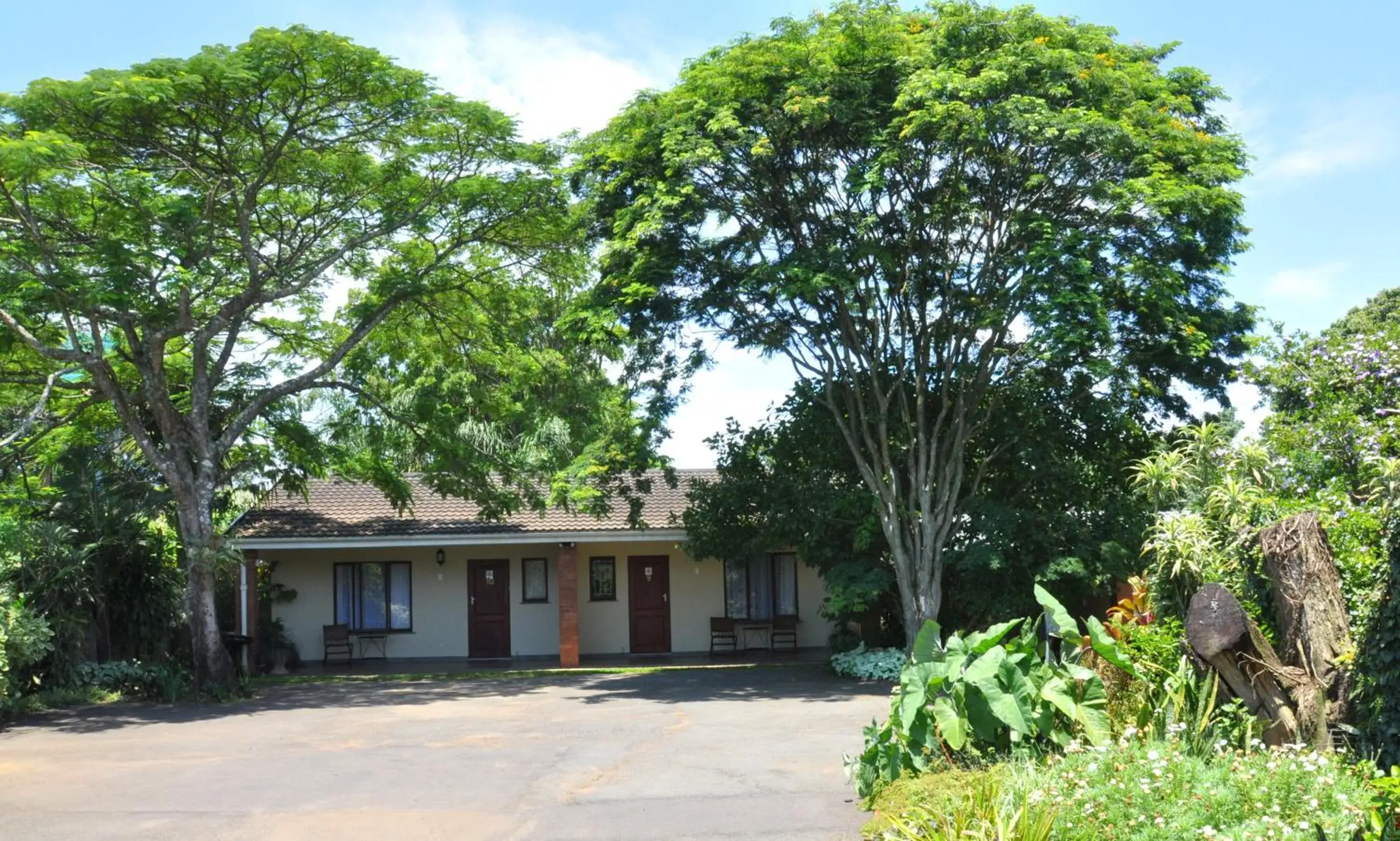 Family Room with Shower - single occupancy in Birds of Paradise B&B Family Room with Shower - single occupancy in Birds of Paradise B&B