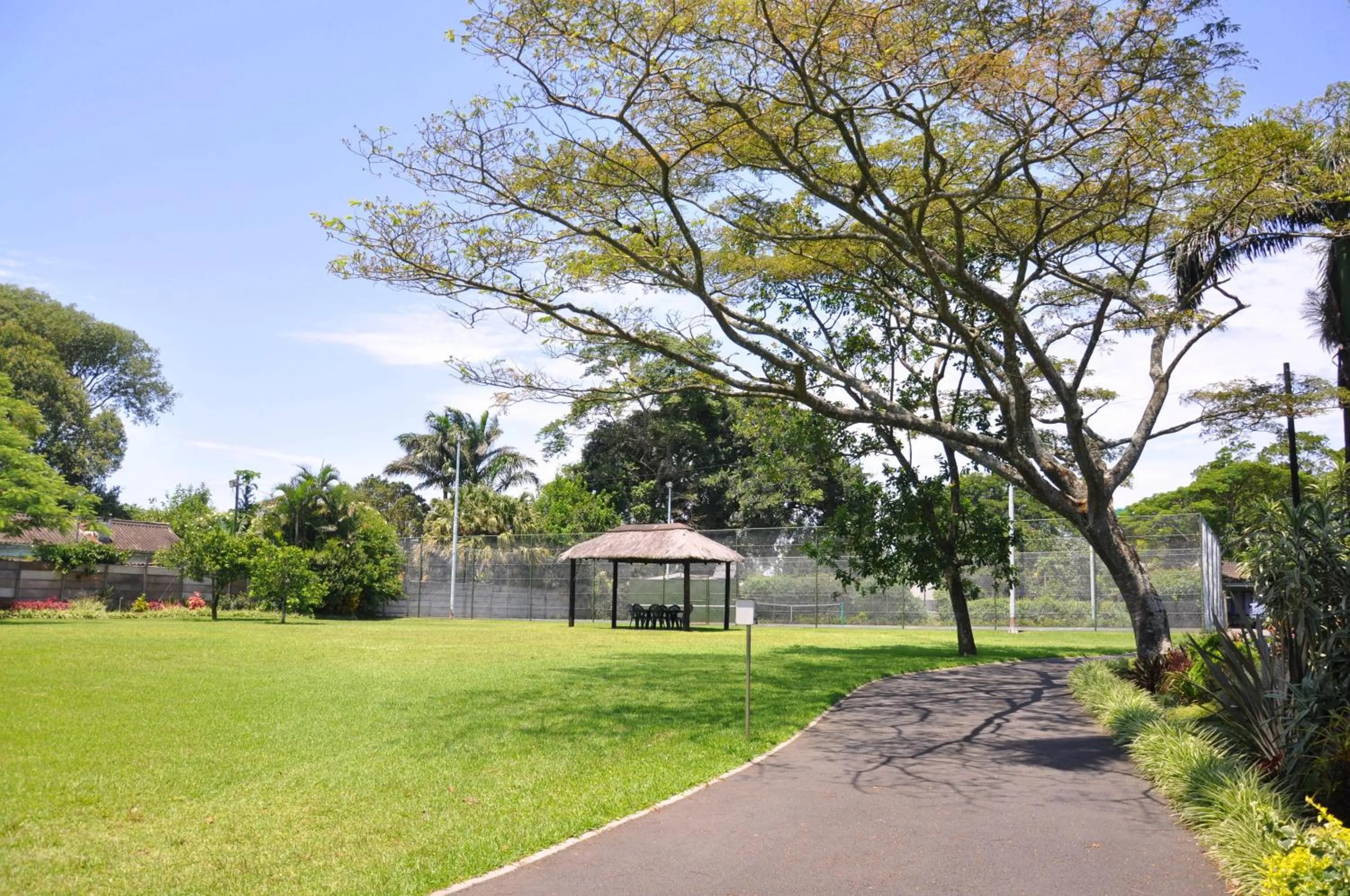 Garden in Birds of Paradise B&B