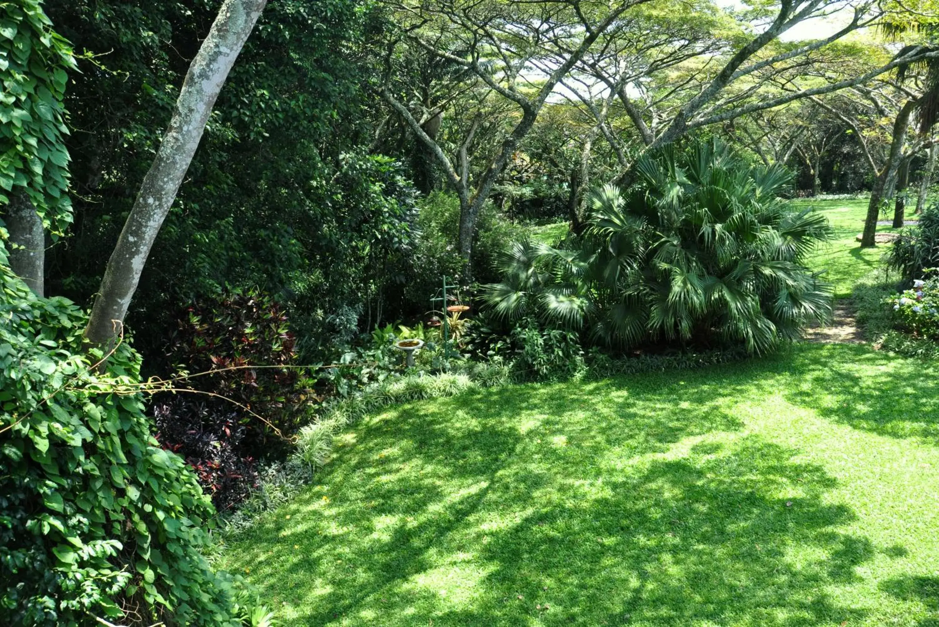 Standard Double or Twin Room with Balcony - single occupancy in Birds of Paradise B&B Standard Double or Twin Room with Balcony - single occupancy in Birds of Paradise B&B