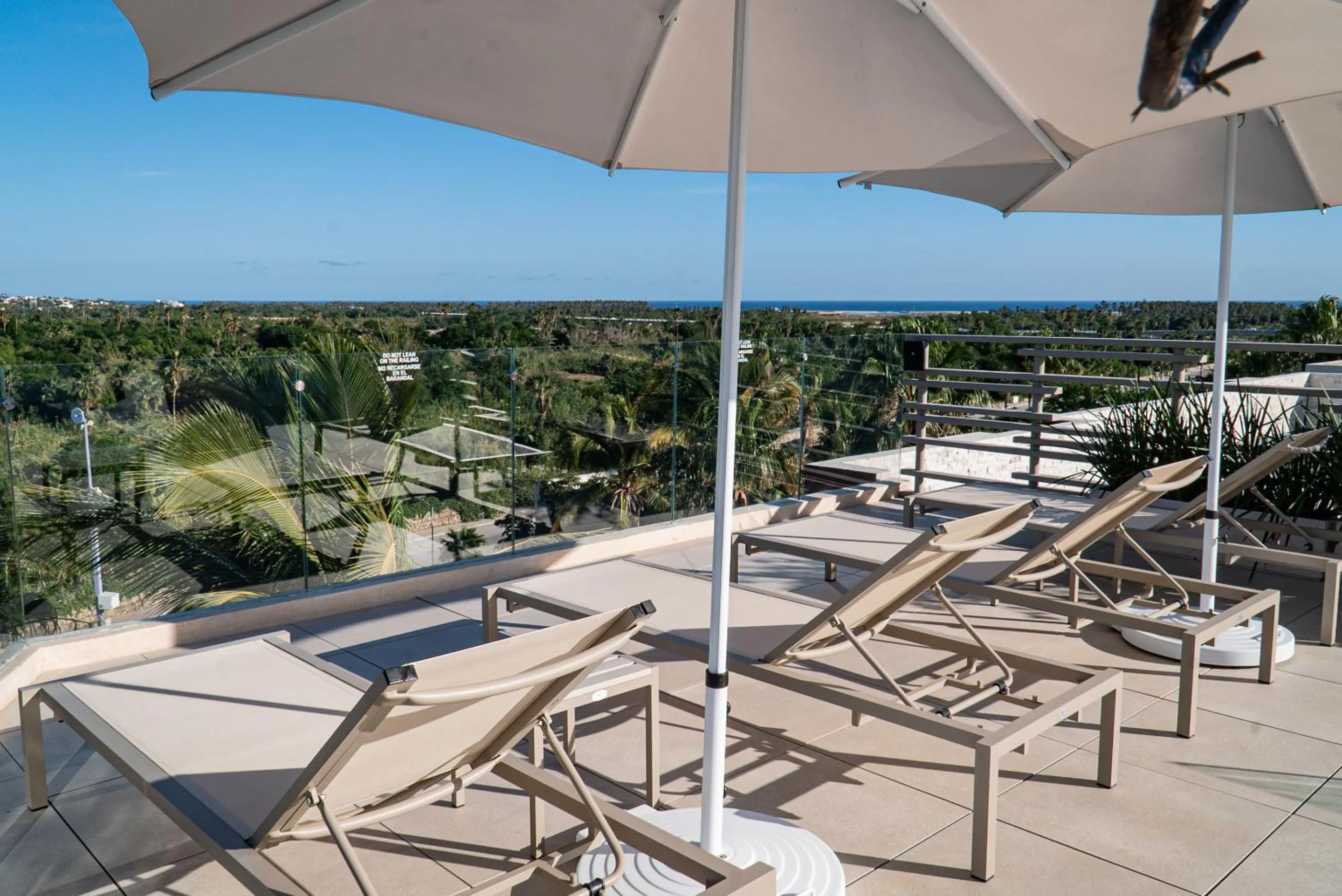 Balcony/Terrace in Flamboyan Hotel & Residences