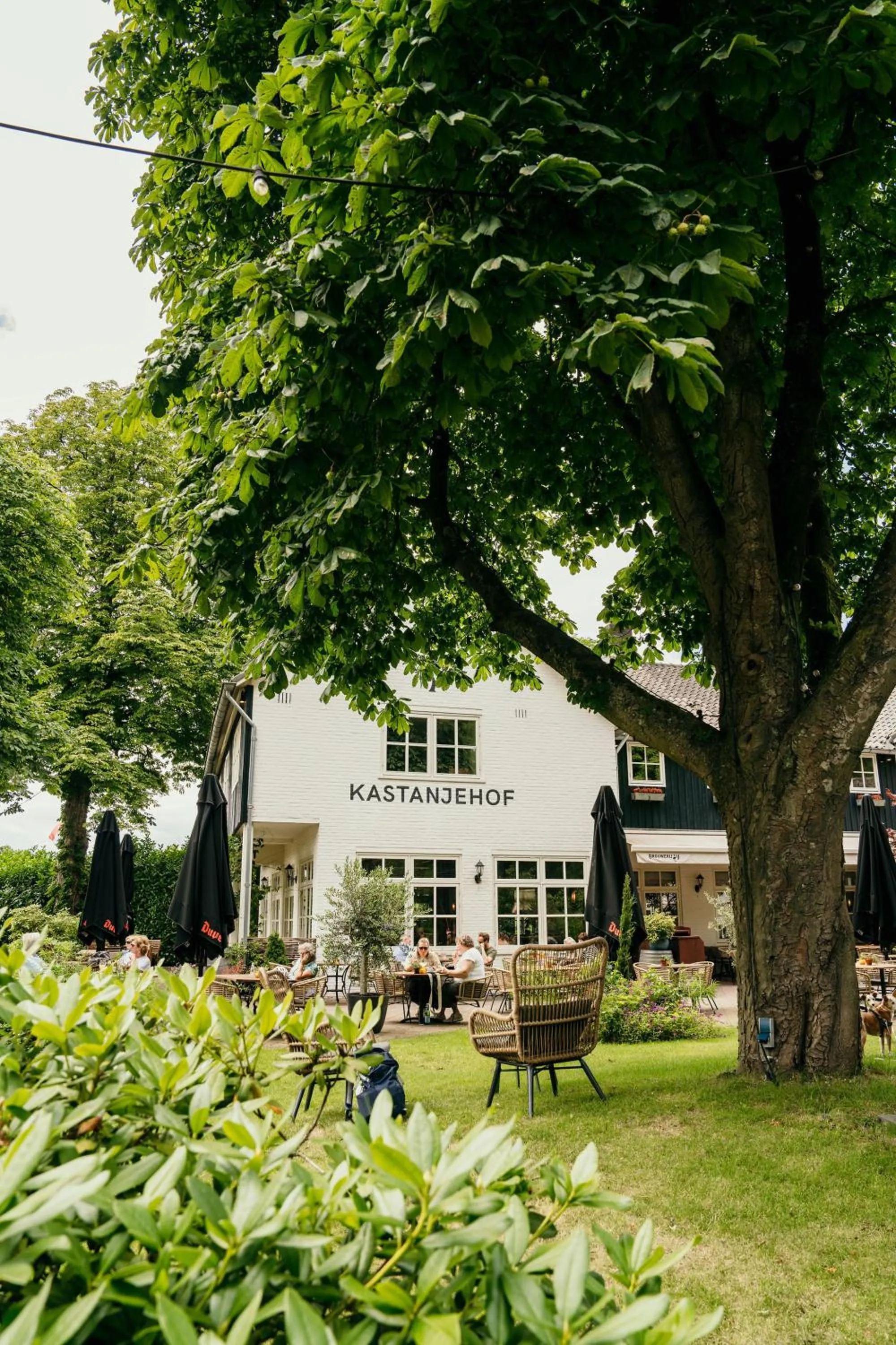 Balcony/Terrace in Boetiekhotel De Kastanjehof