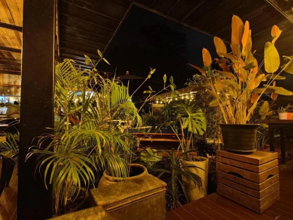 Restaurant/places to eat in The Willow Phangan