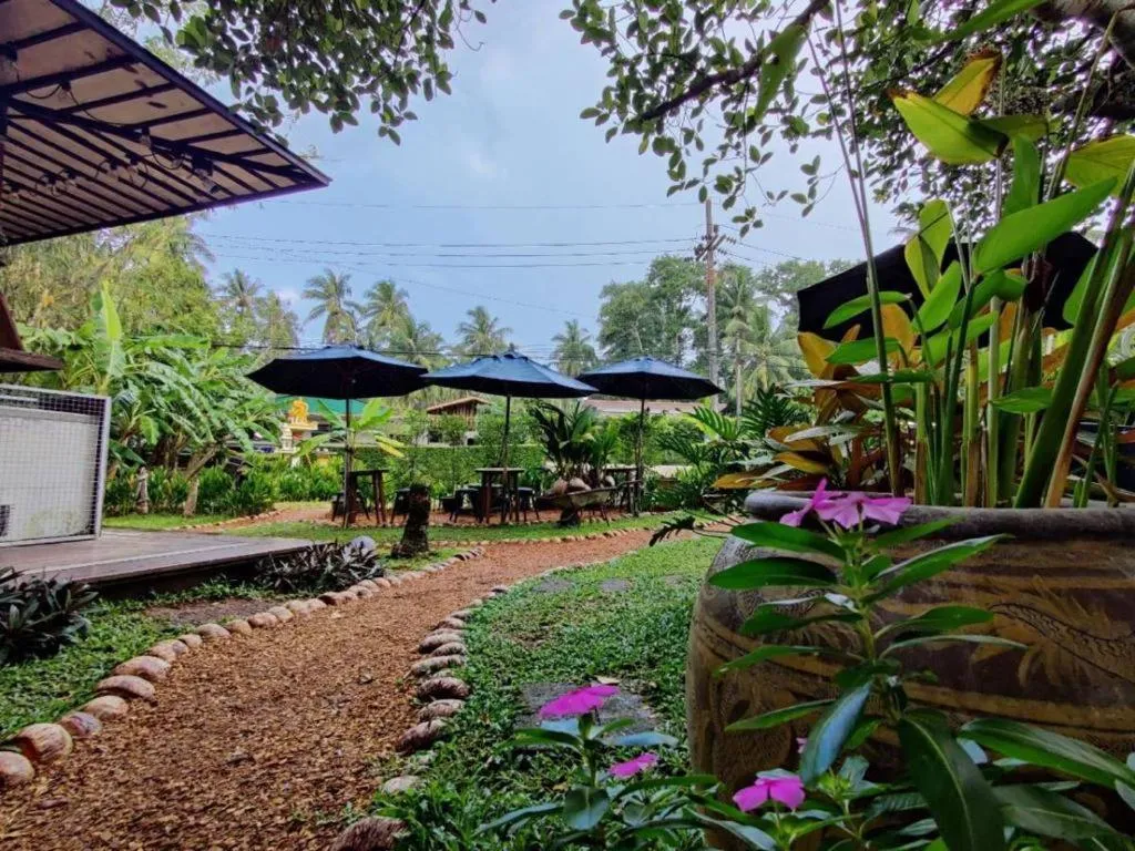 Restaurant/places to eat in The Willow Phangan