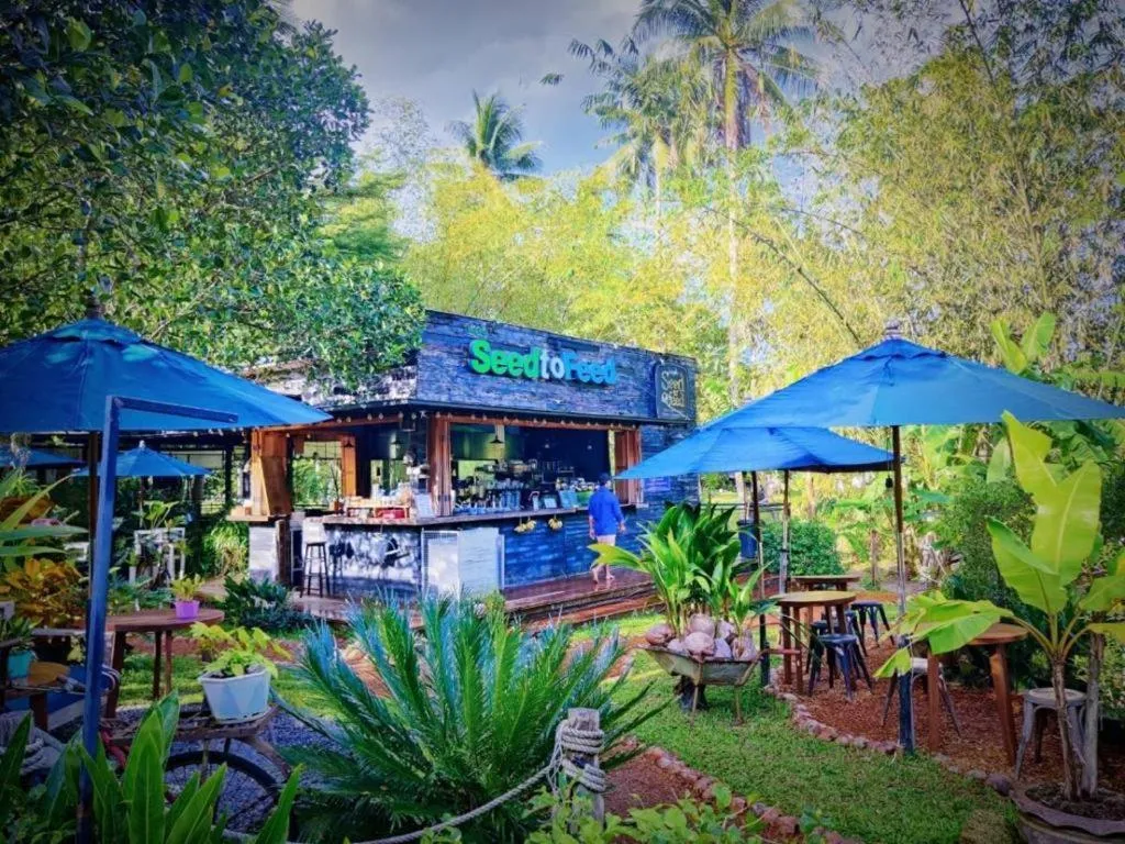 Restaurant/places to eat in The Willow Phangan