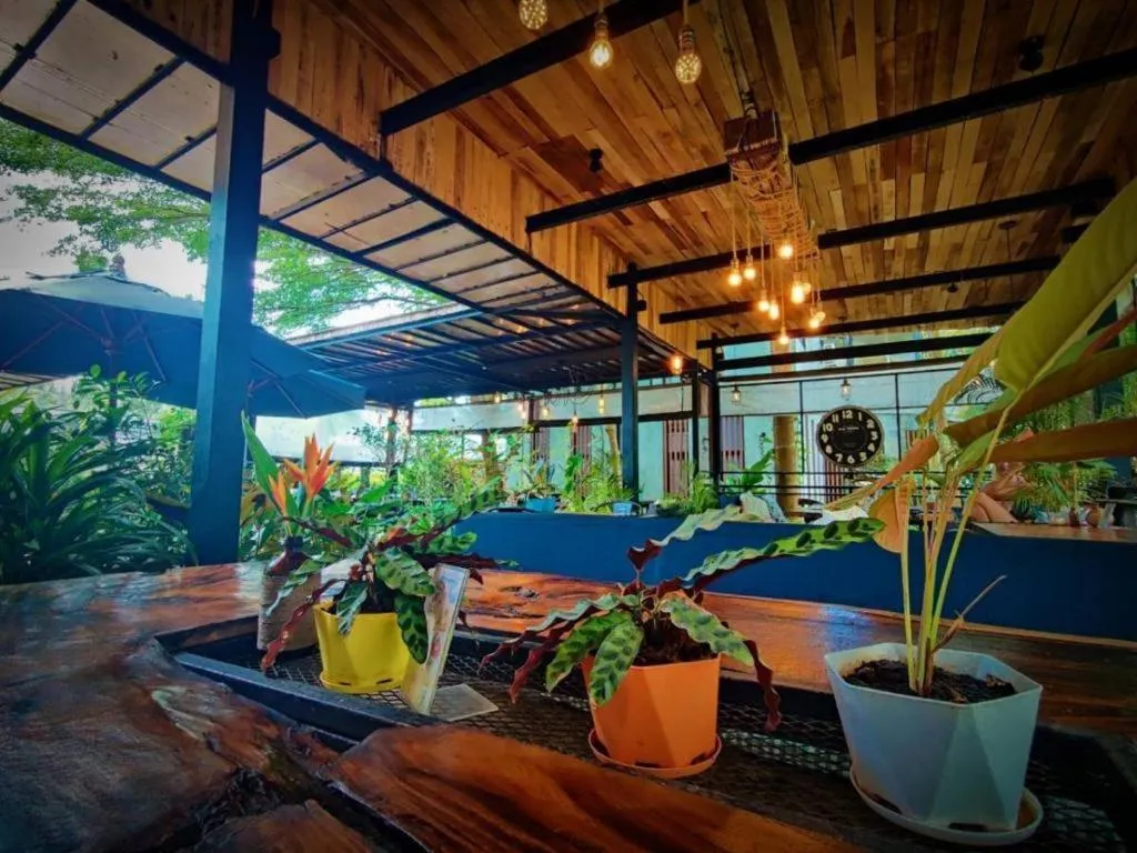 Restaurant/places to eat in The Willow Phangan