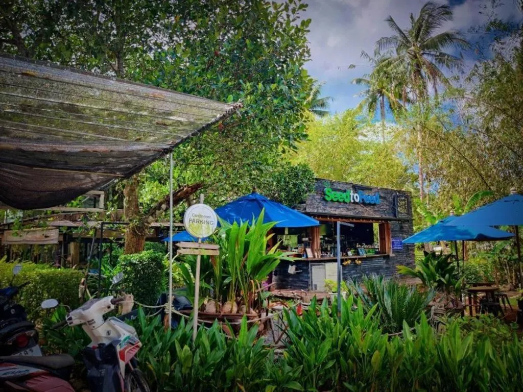 Restaurant/places to eat in The Willow Phangan