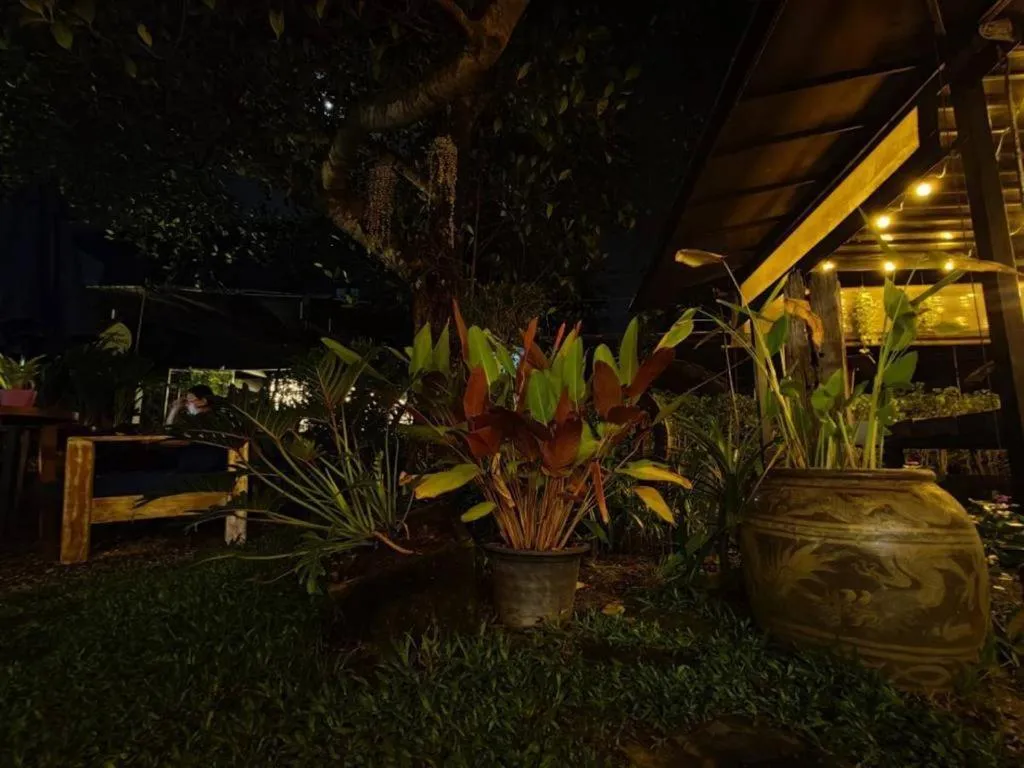 Restaurant/places to eat in The Willow Phangan