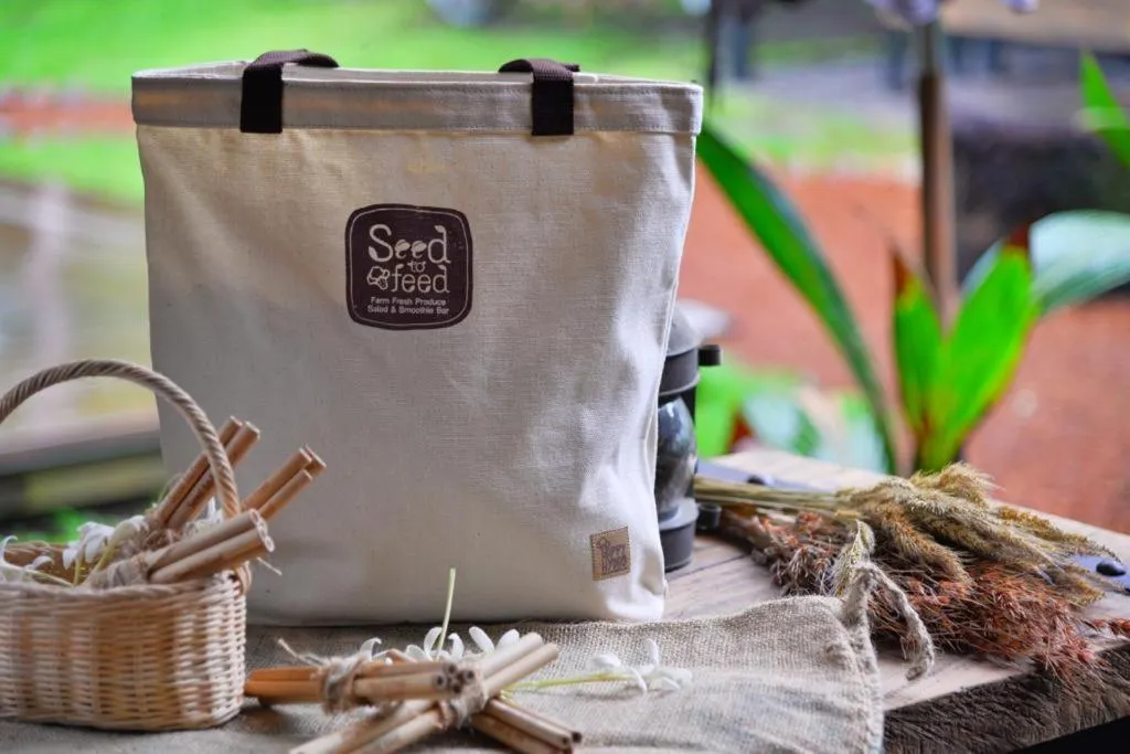 Day in The Willow Phangan