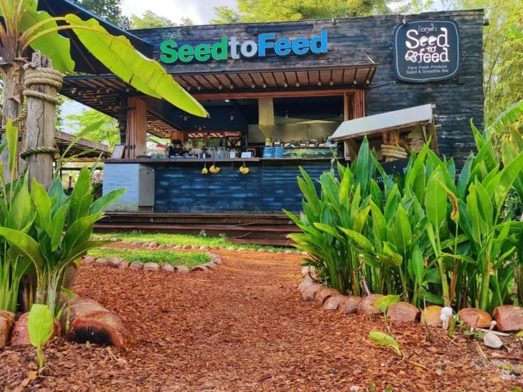 Restaurant/places to eat in The Willow Phangan