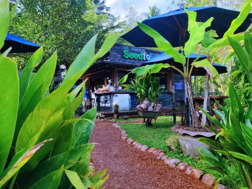 Restaurant/places to eat in The Willow Phangan