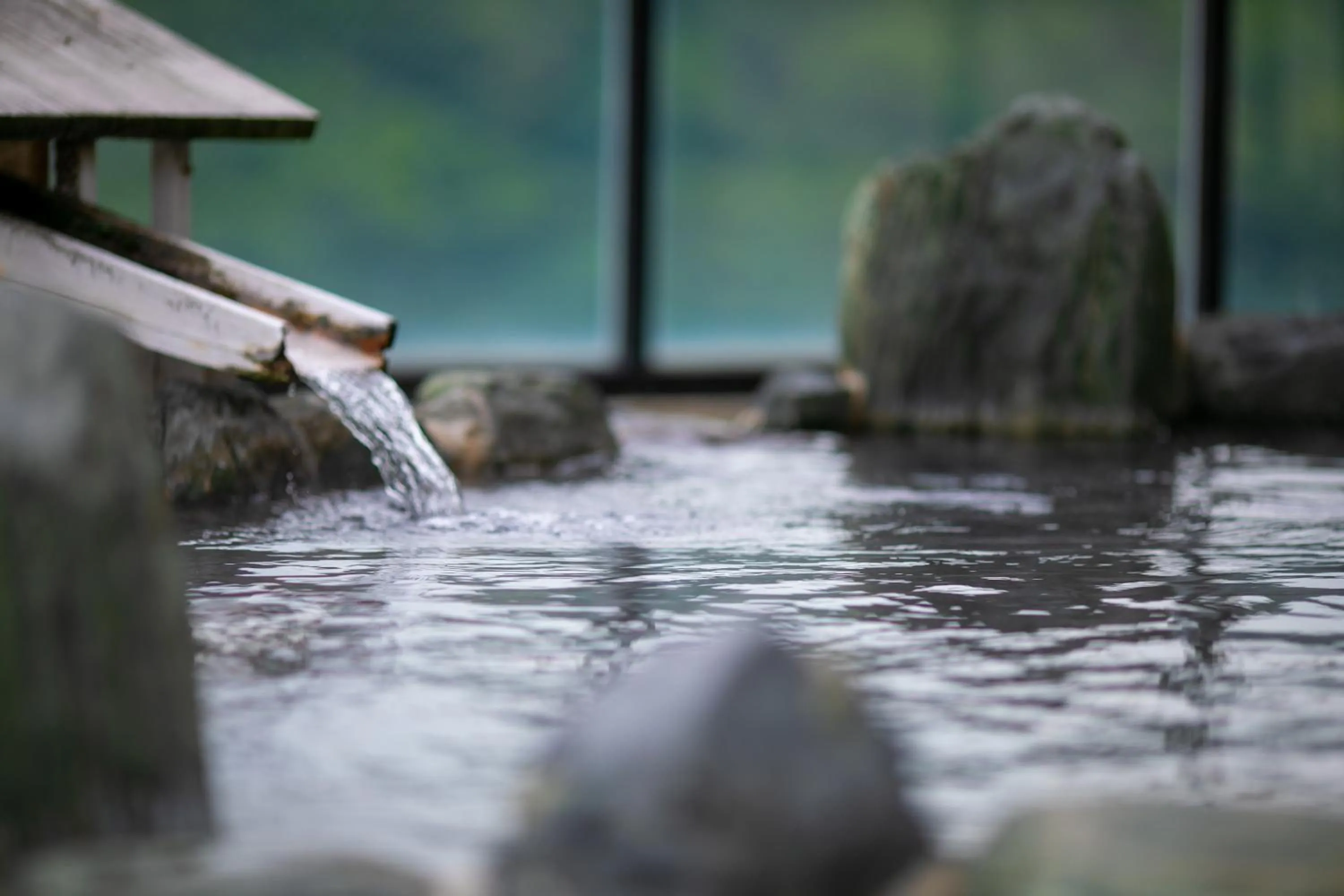Hot Spring Bath in Genjiko