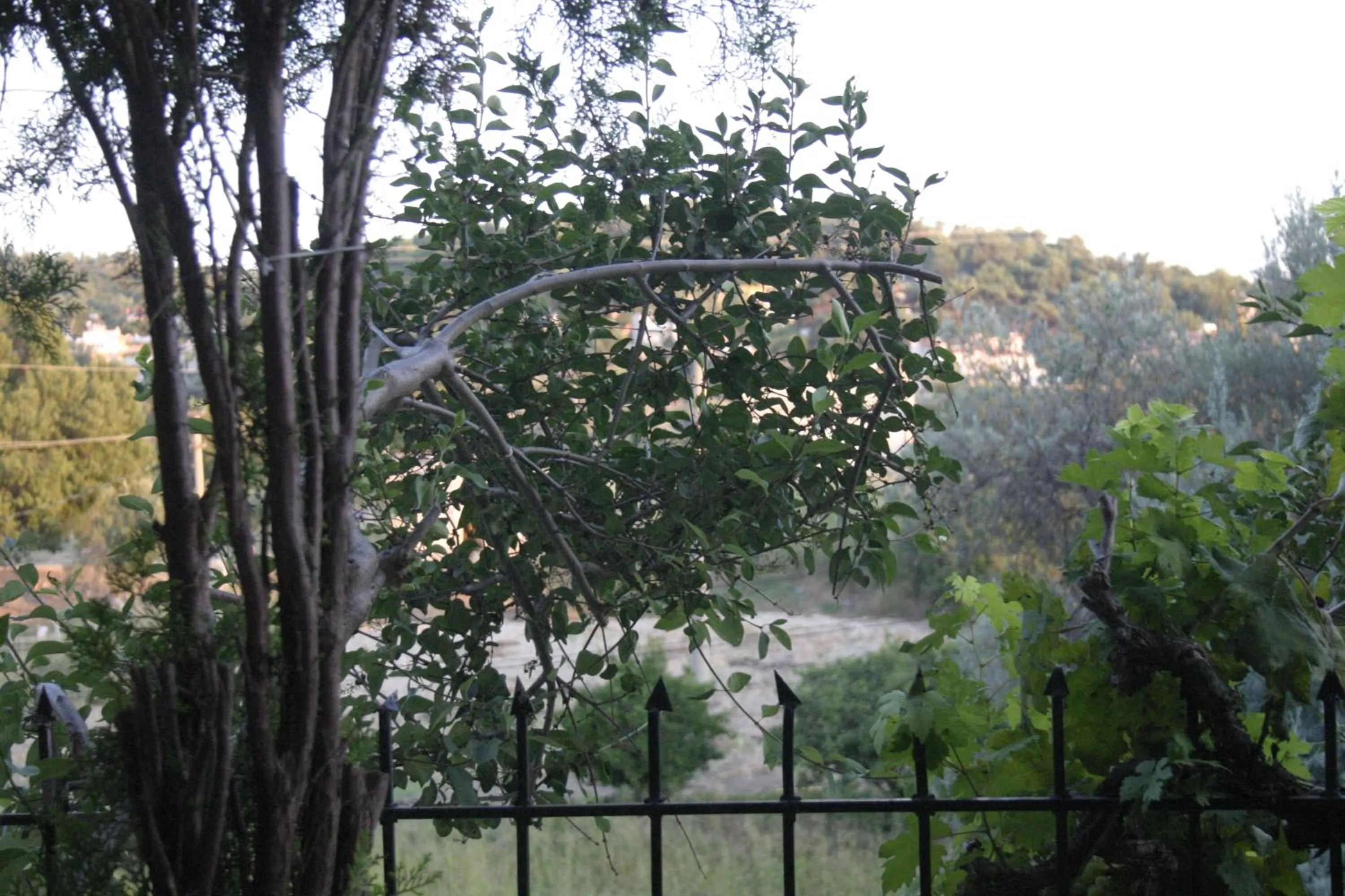 Decorative detail in Otel Yorgo Seferis