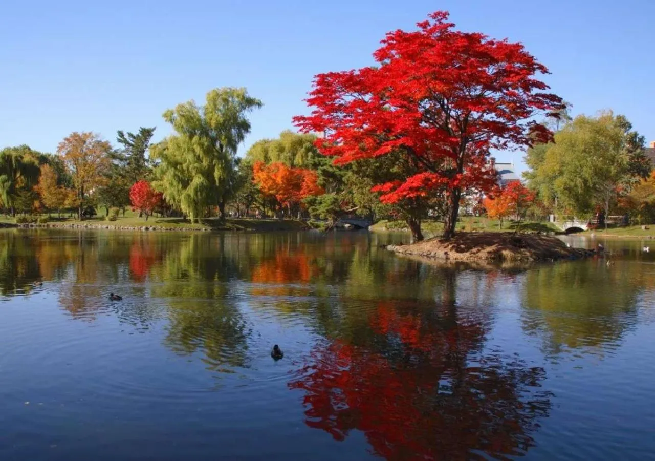 Nearby landmark in Business Inn Norte