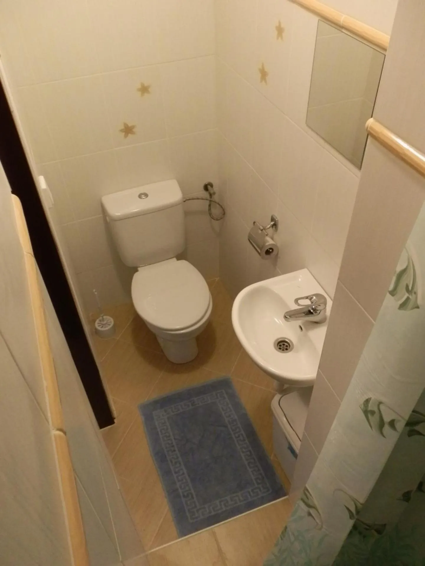 Toilet in Hotel Gól Prostějov