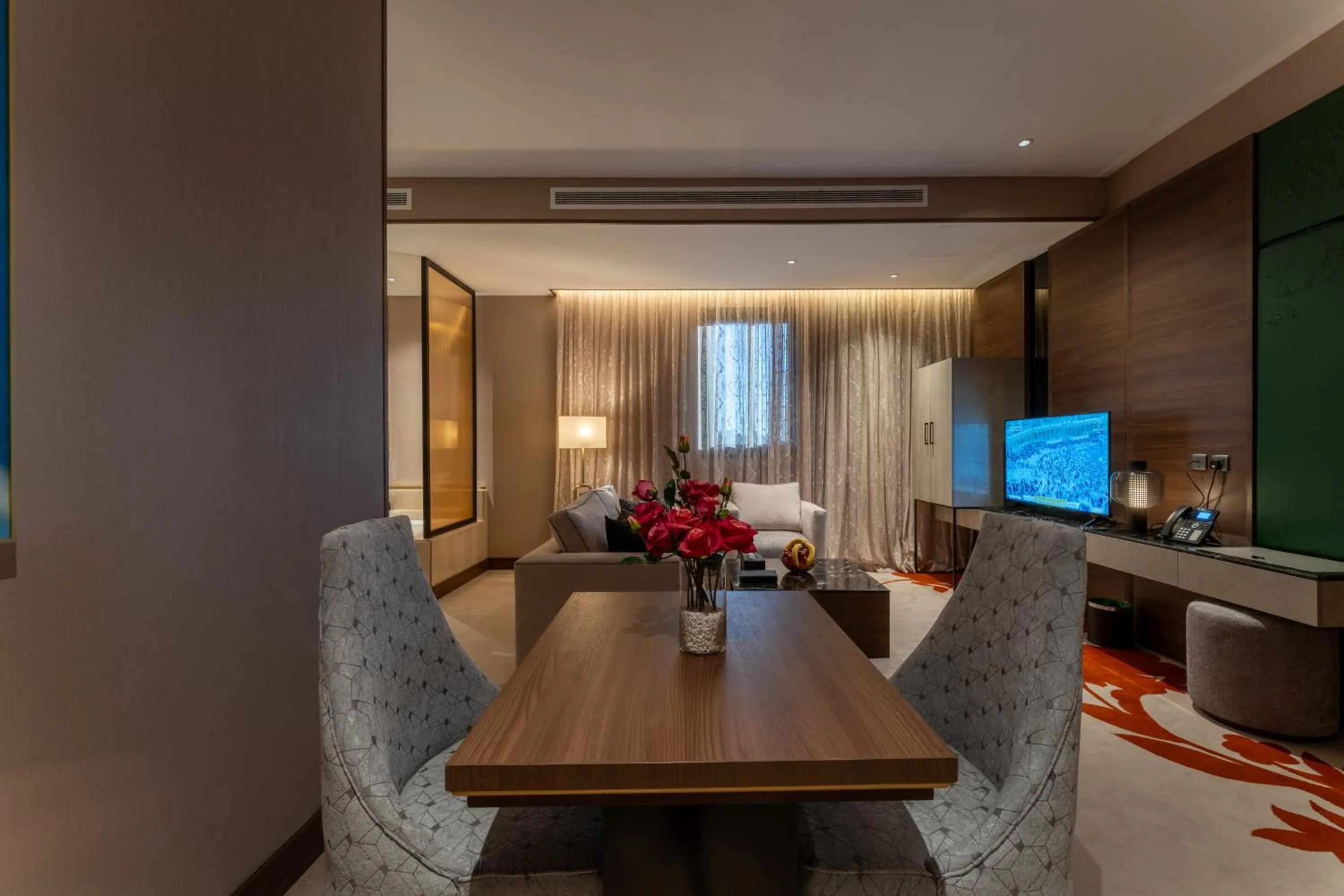 TV and multimedia in Lilac Park Hotel