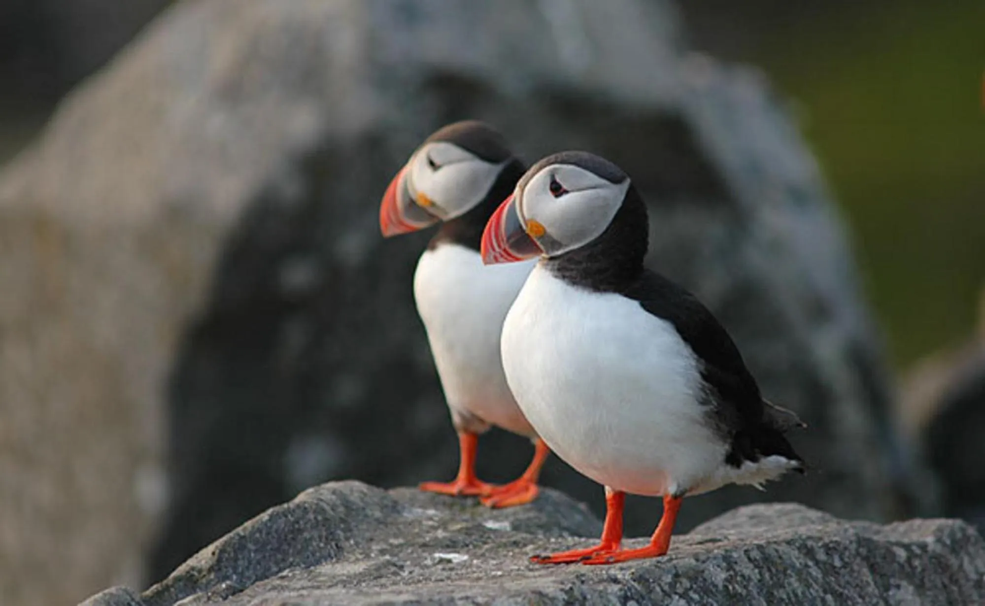 Activities in Quality Hotel Ulstein